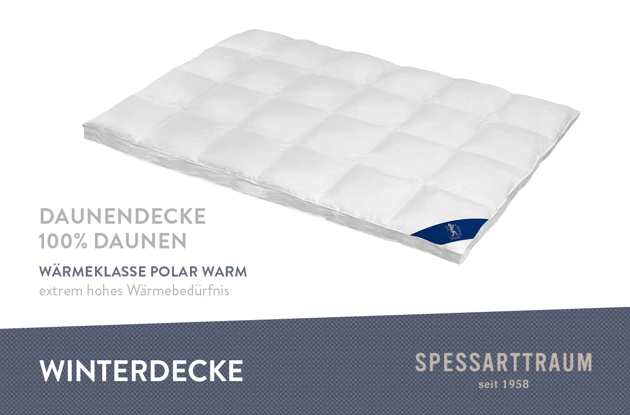 SPESSARTTRAUM Daunenbettdecke »Laax Bettdecke 135x200, 155x220 cm und viele günstig online kaufen