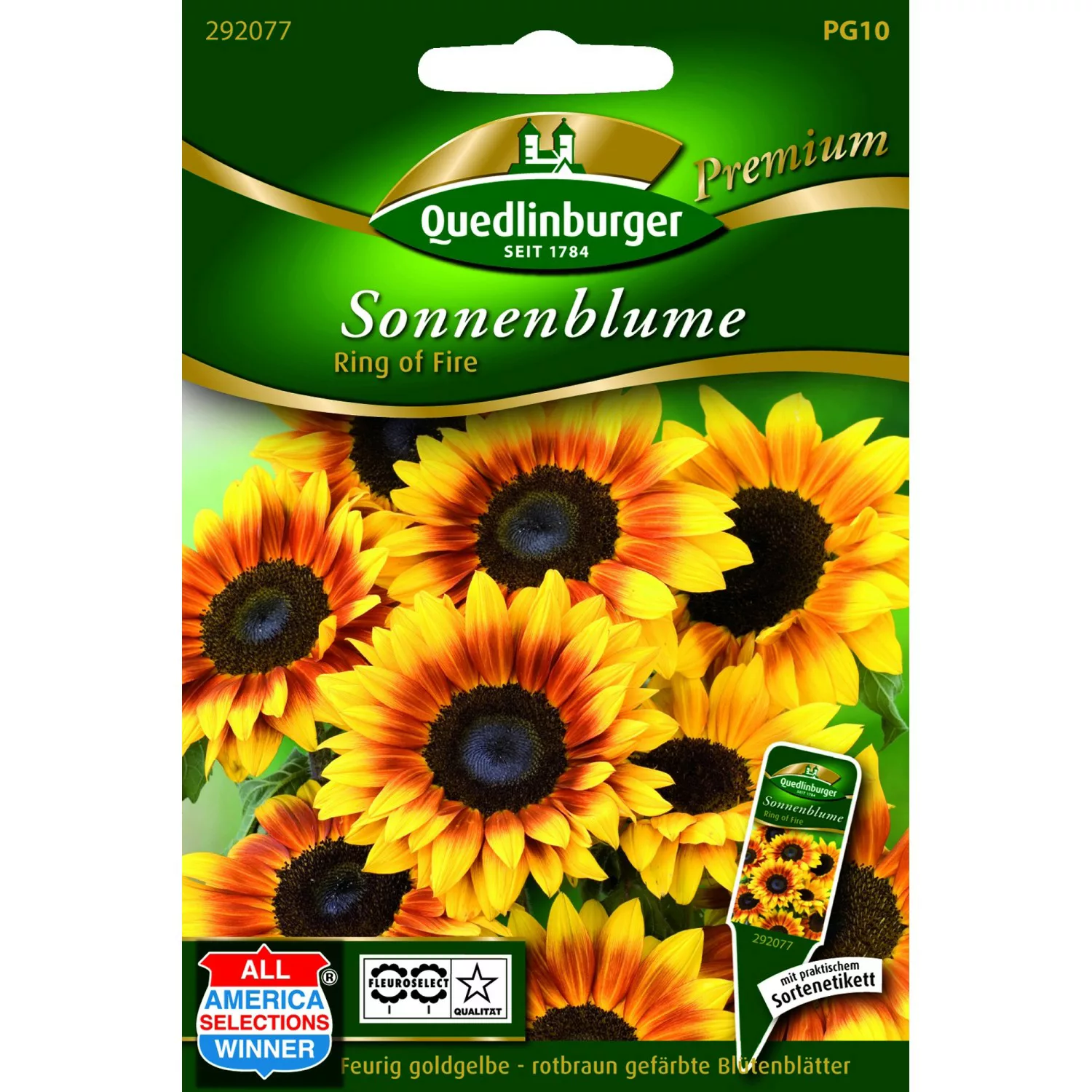 Quedlinburger Sonnenblume ''Ring of fire'' günstig online kaufen