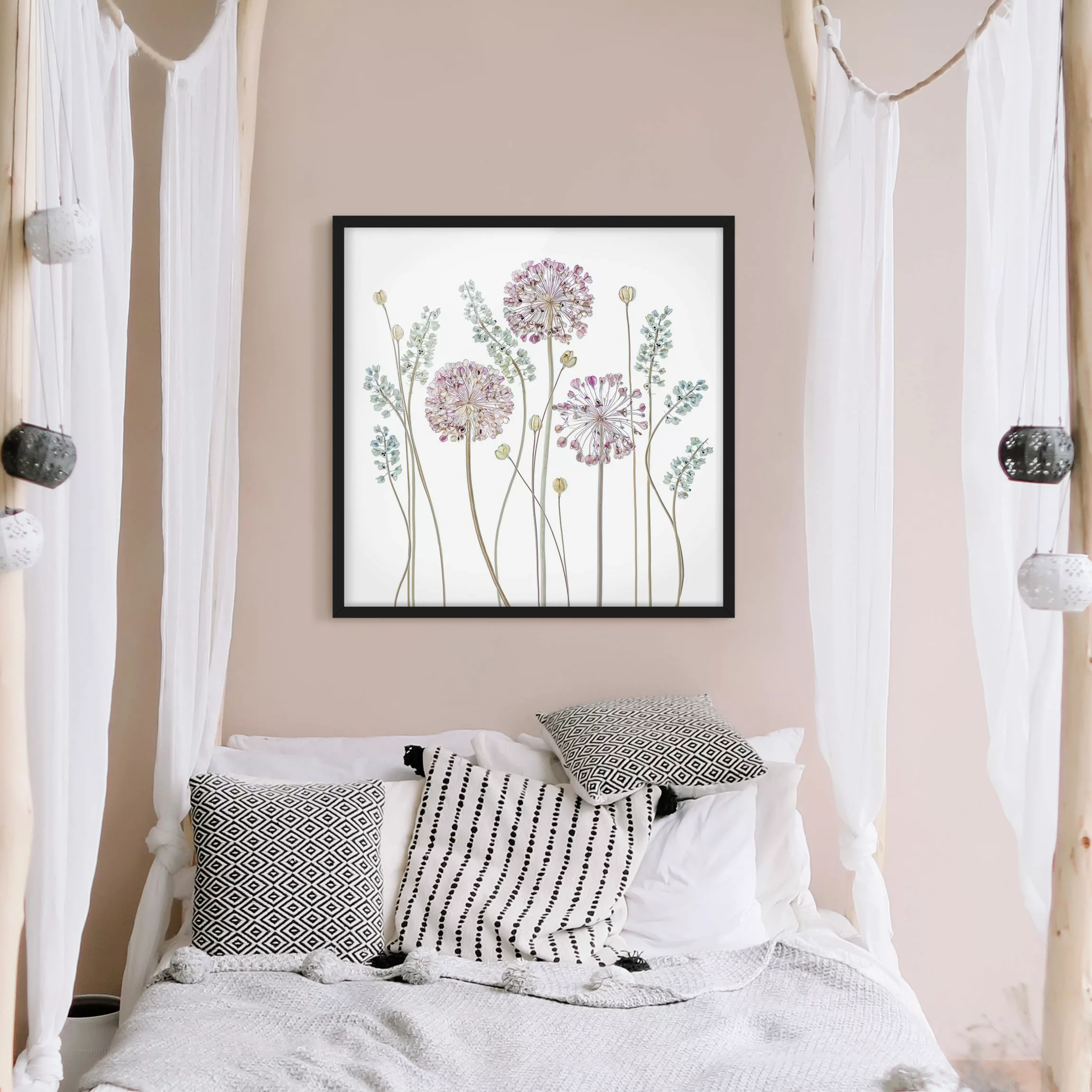 Bild mit Rahmen Blumen - Quadrat Allium Illustration günstig online kaufen
