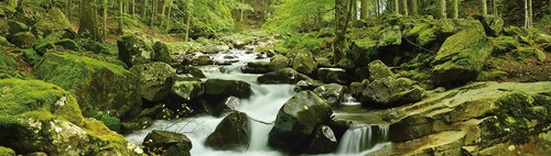 Papermoon Fototapete »Soft Water Stream Panorama«, matt günstig online kaufen