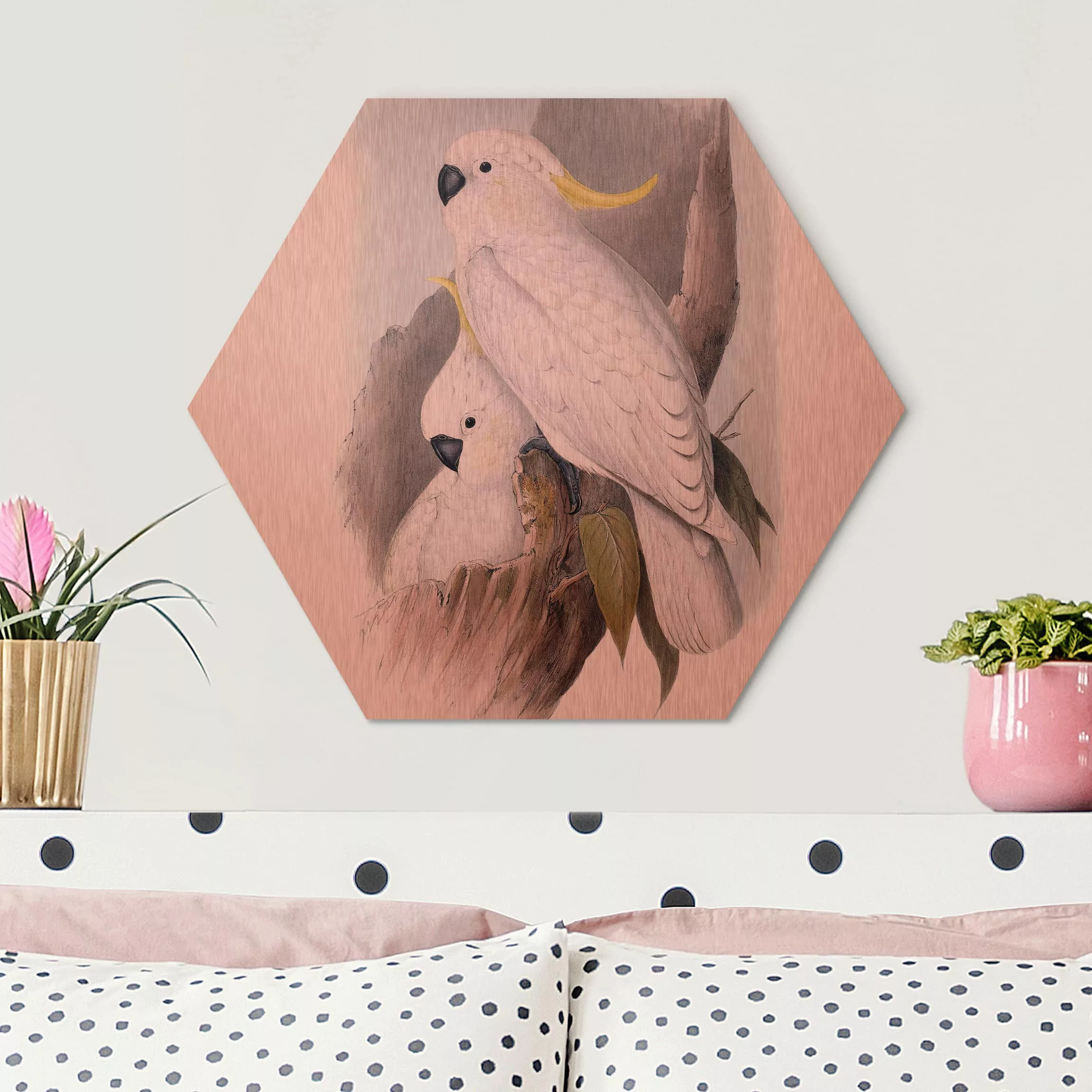 Hexagon-Alu-Dibond Bild Tiere Pastell Papageien III günstig online kaufen