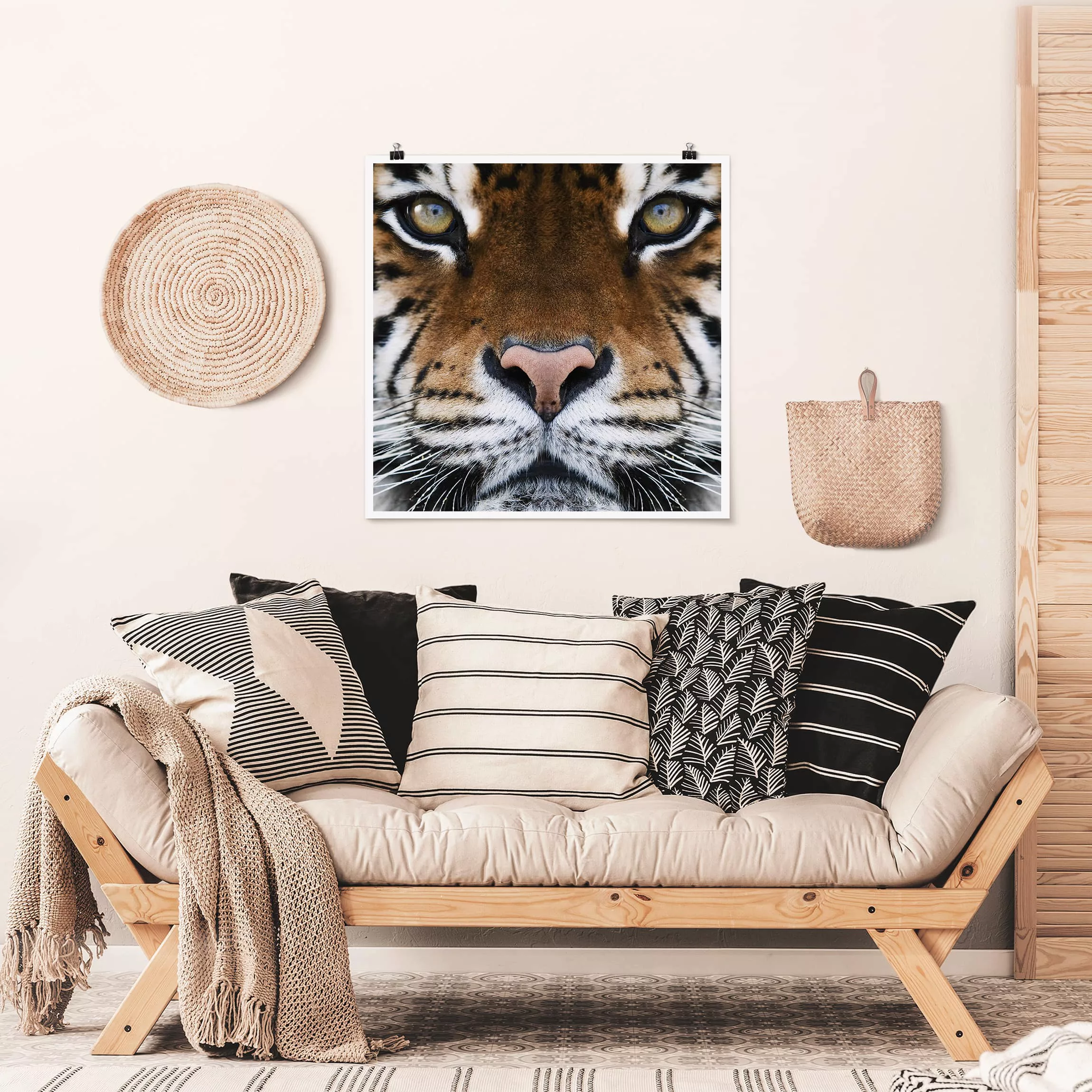 Poster Tiere - Quadrat Tiger Eyes günstig online kaufen