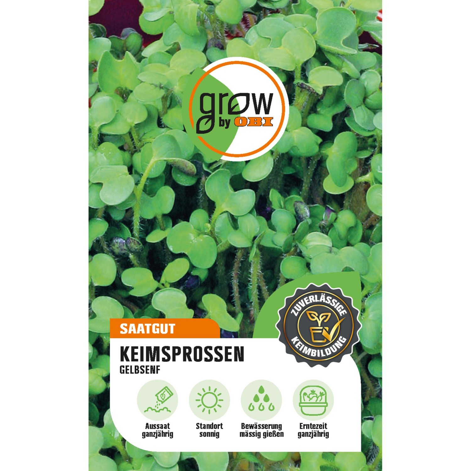 GROW by OBI Keimsprossen Gelbsenf Höhe ca. 10 cm günstig online kaufen