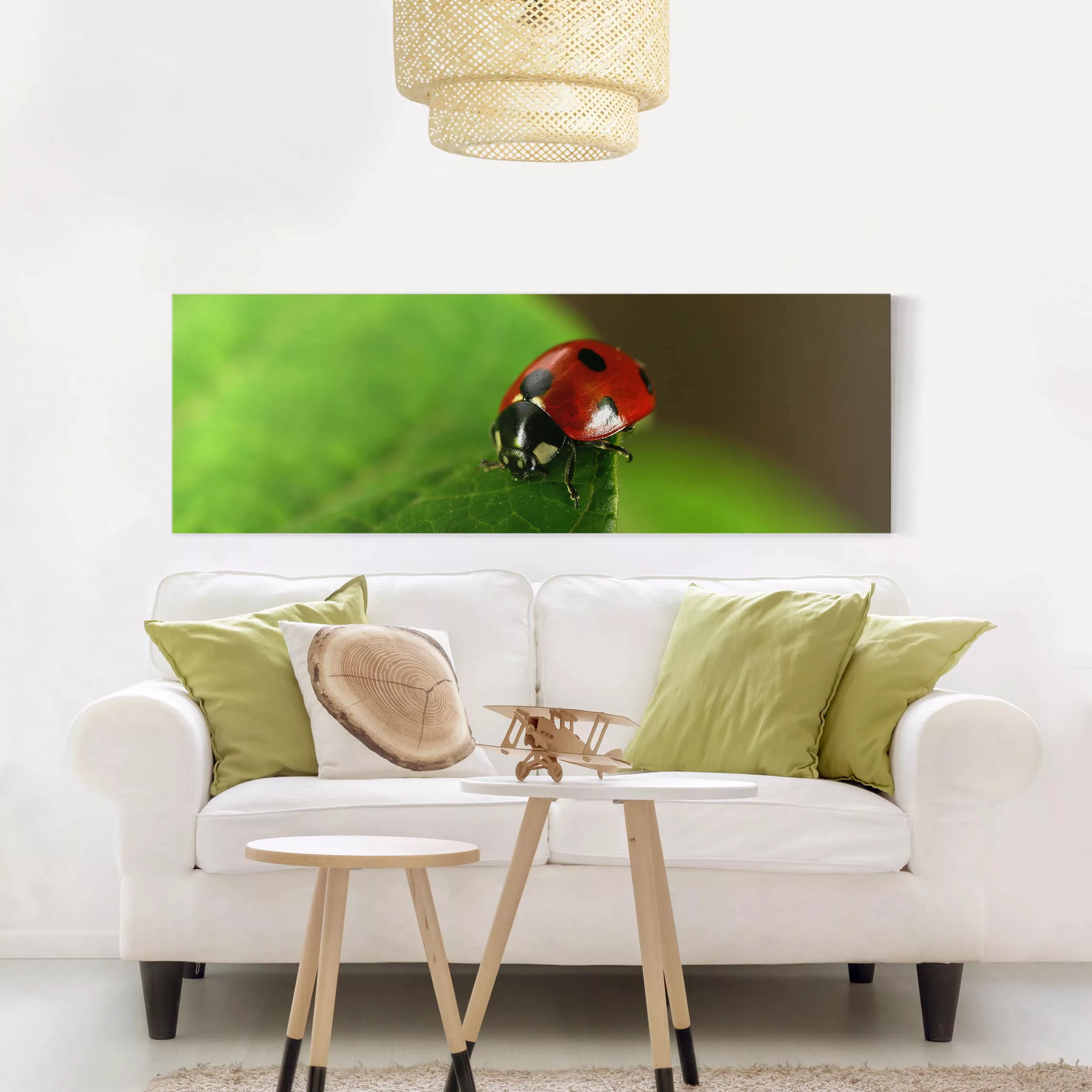 Leinwandbild Tiere - Panorama Lady Bird günstig online kaufen