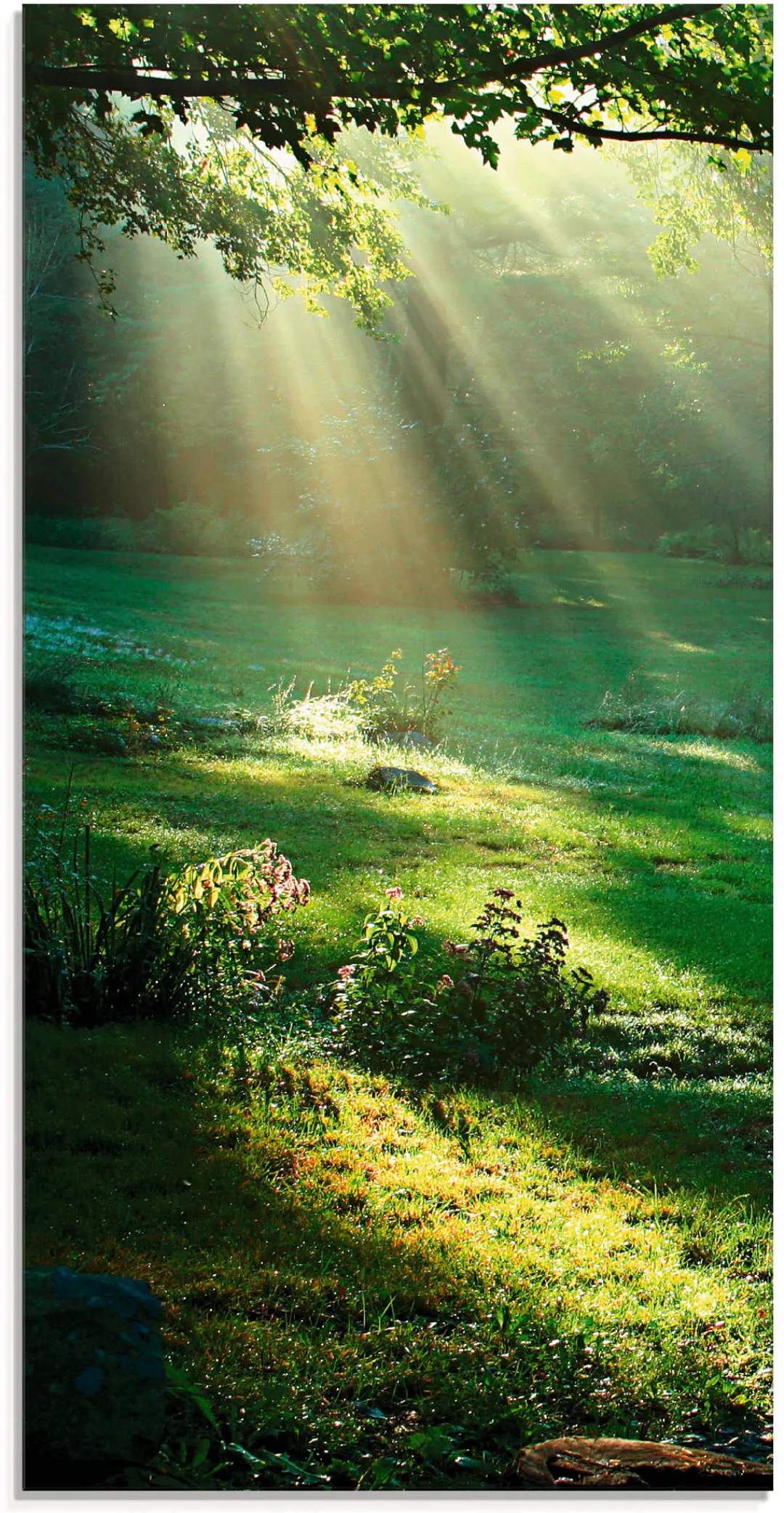 Artland Glasbild "Lichtkegel", Wald, (1 St.) günstig online kaufen