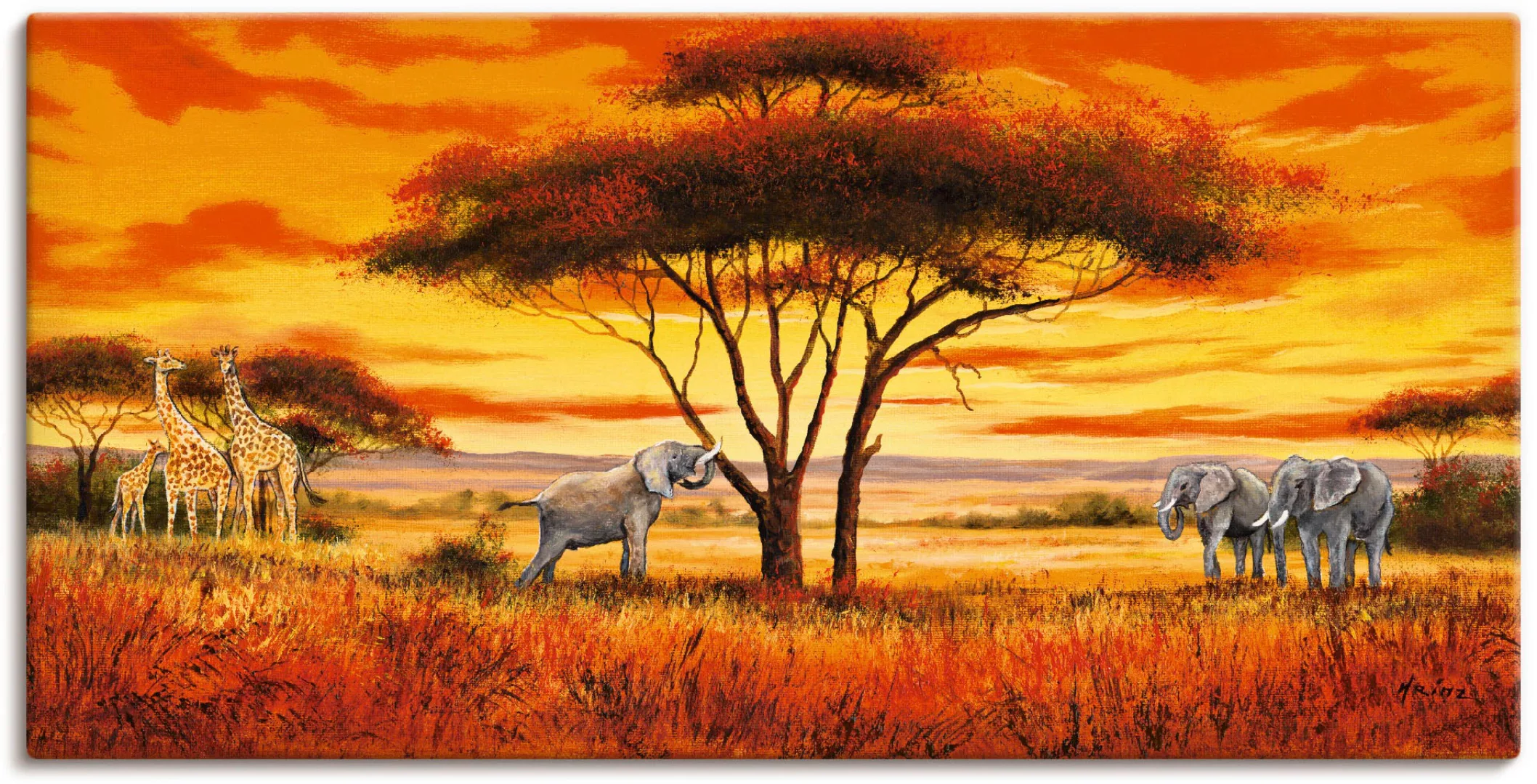 Artland Wandbild "Afrikanische Landschaft II", Afrika, (1 St.), als Alubild günstig online kaufen