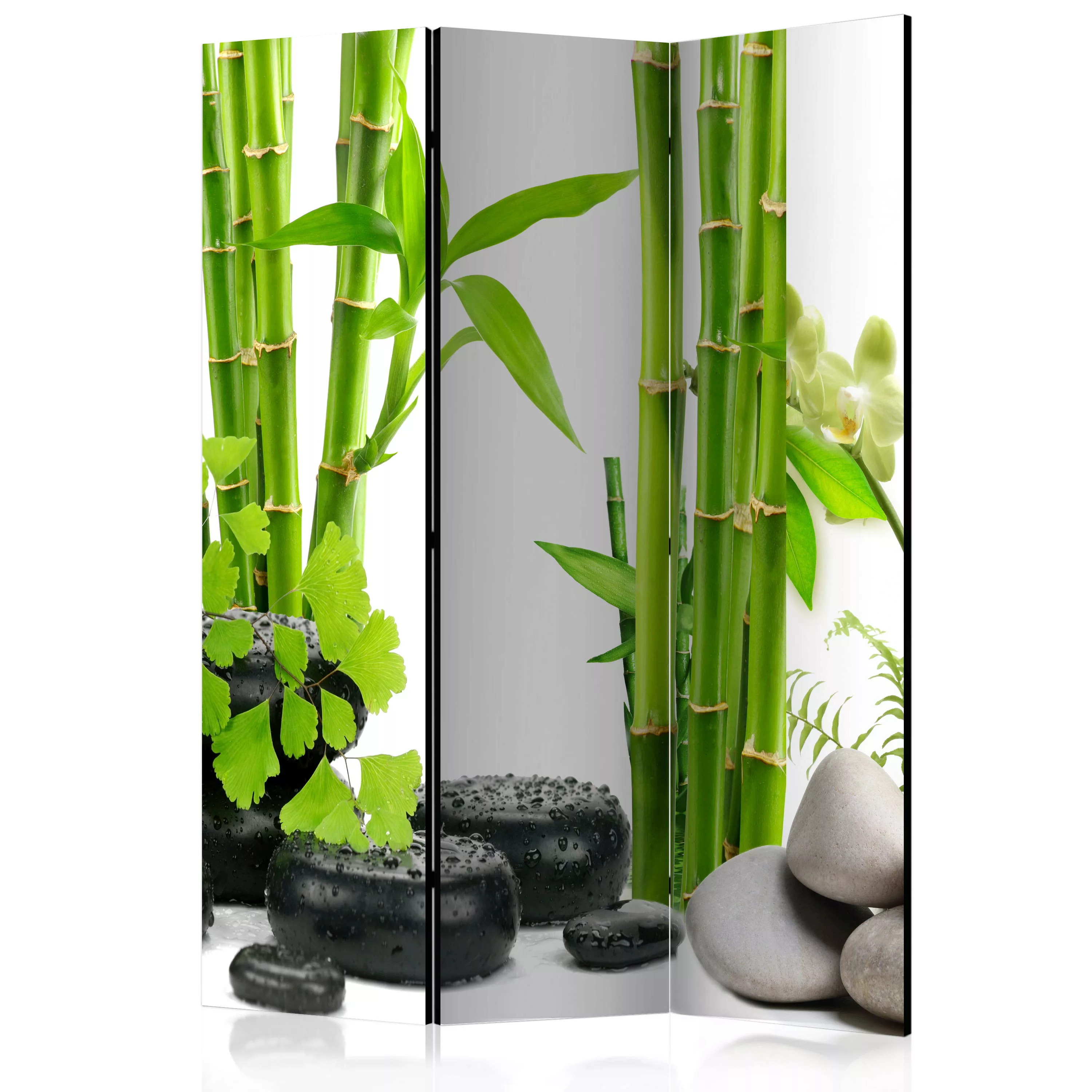 3-teiliges Paravent - Bamboos And Stones [room Dividers] günstig online kaufen