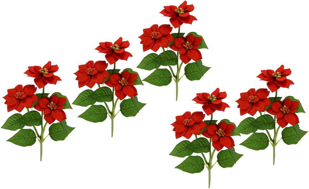 I.GE.A. Kunstblume "Poinsettie", Künstlicher Poinsettiazweig, 5er Set günstig online kaufen