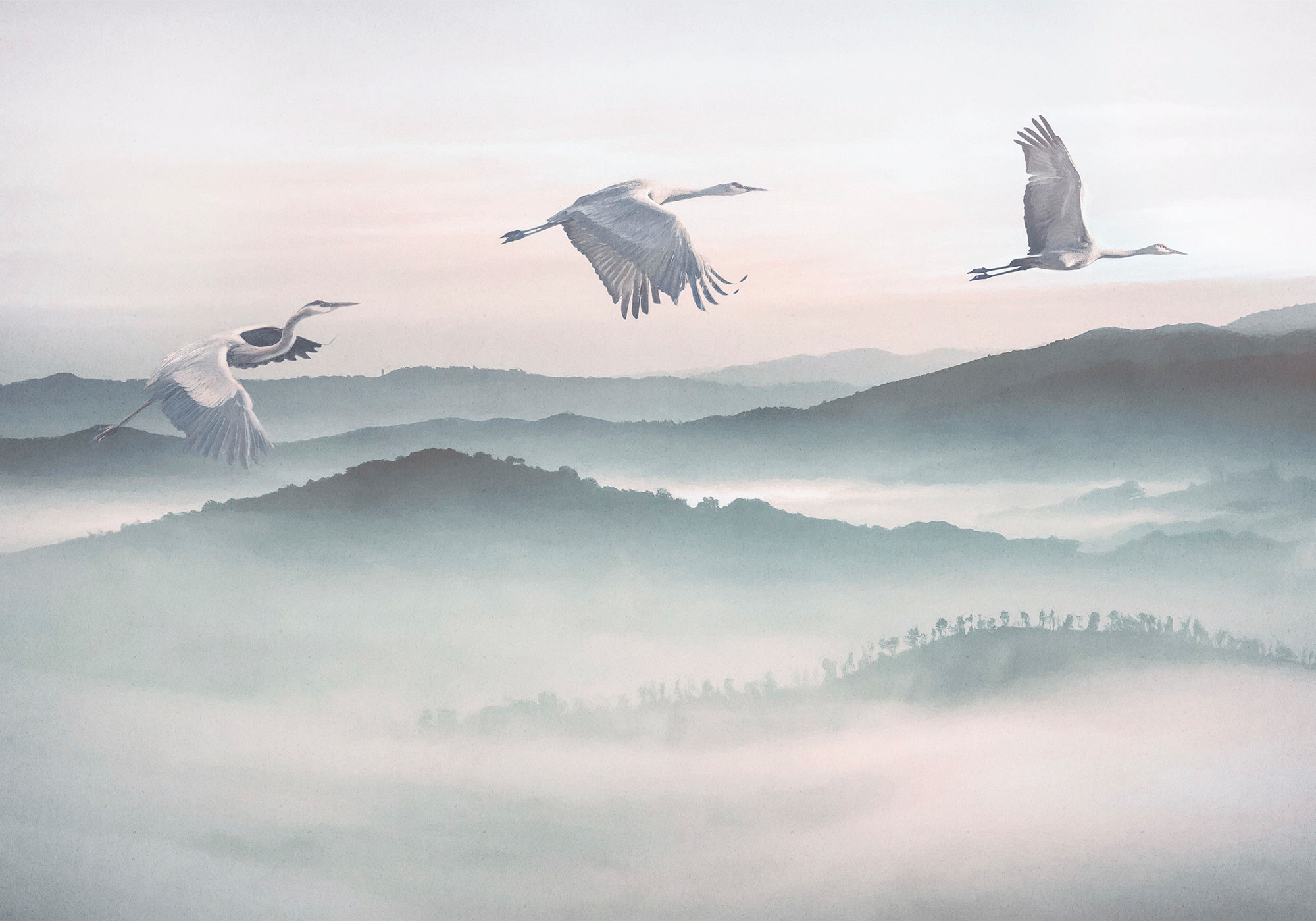 Komar Fototapete Mystic Cranes B/L: ca. 400x280 cm günstig online kaufen