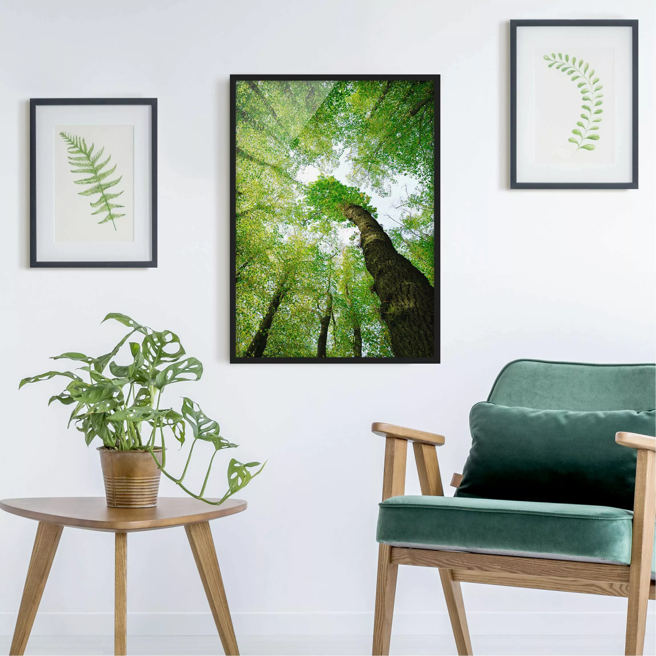 Bild mit Rahmen Natur & Landschaft - Hochformat Bäume des Lebens günstig online kaufen