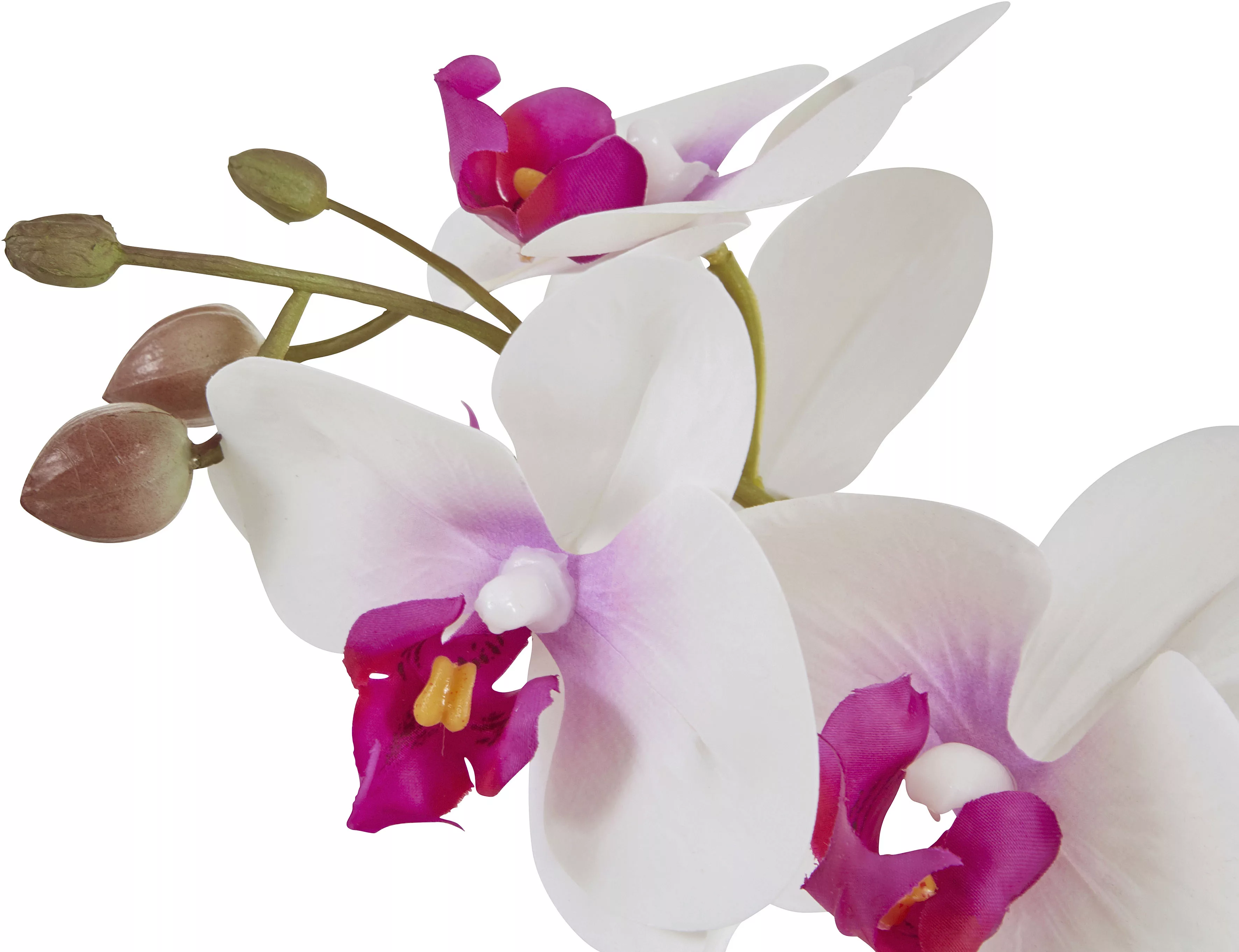 Home affaire Kunstpflanze "Orchidee" günstig online kaufen
