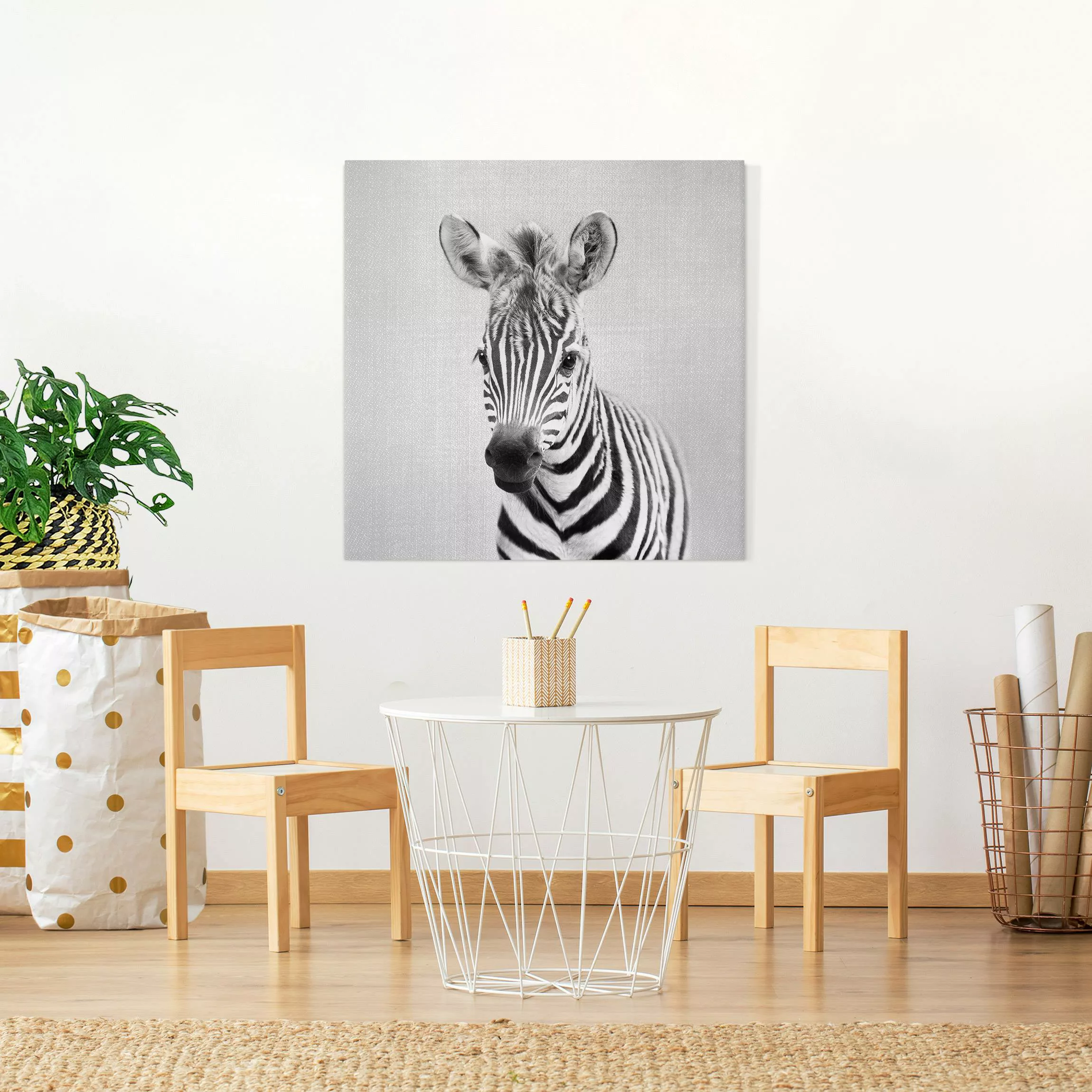 Leinwandbild Baby Zebra Zoey Schwarz Weiß günstig online kaufen