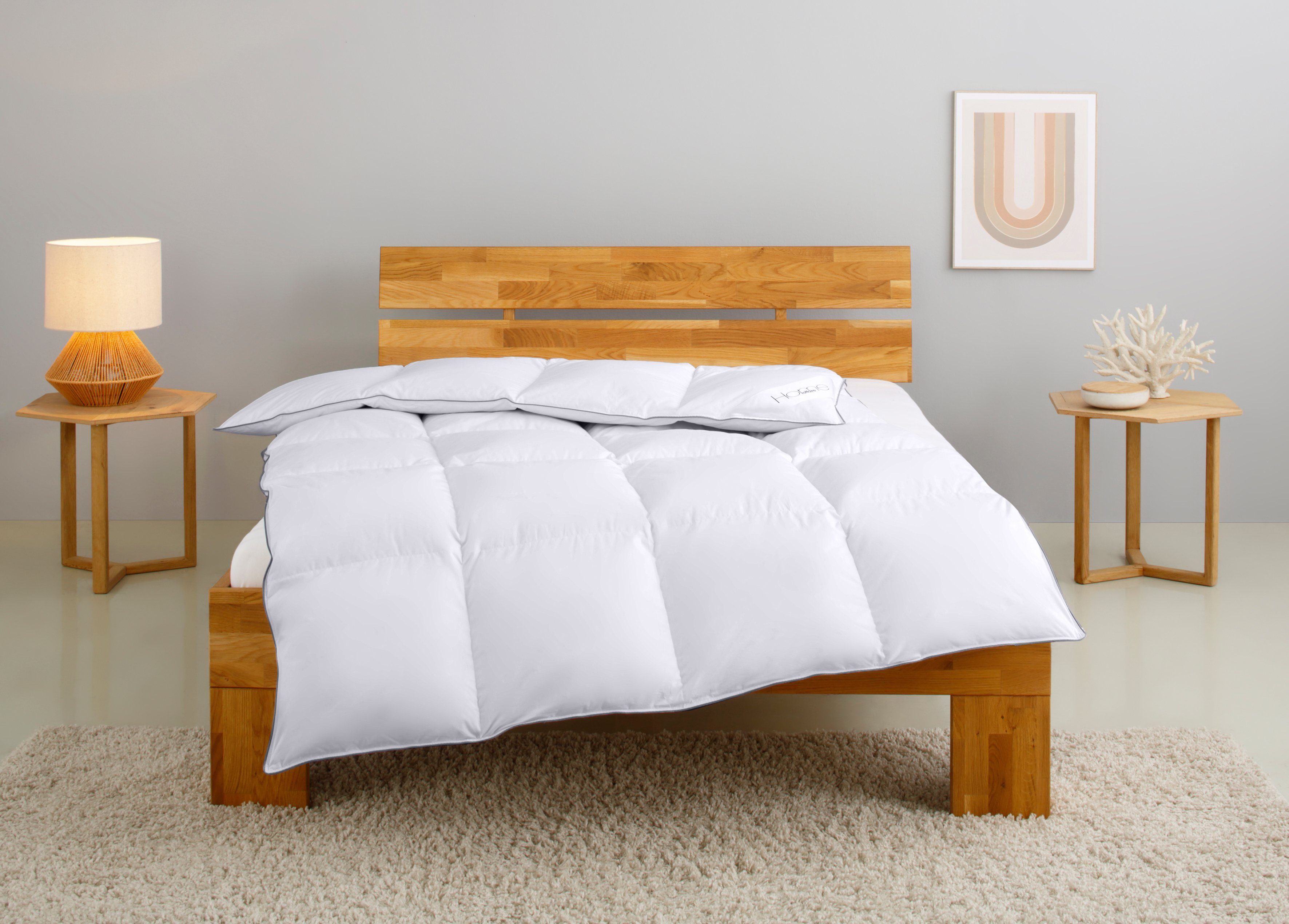 Home affaire Daunenbettdecke Tamins, Bettdecke 135x200 günstig online kaufen