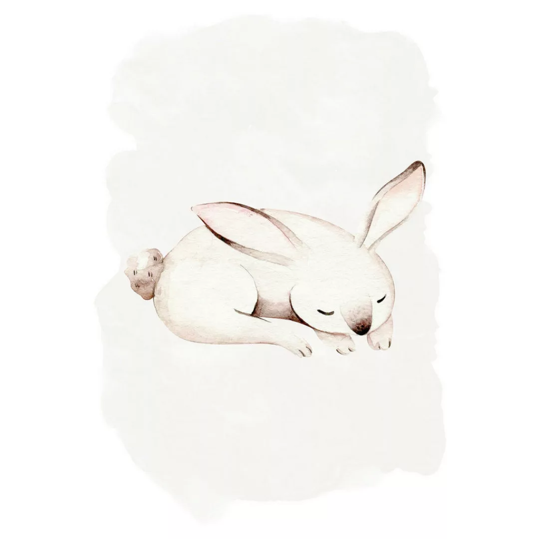 Komar Wandbild Sleepy Bunny Waldtiere B/L: ca. 30x40 cm günstig online kaufen