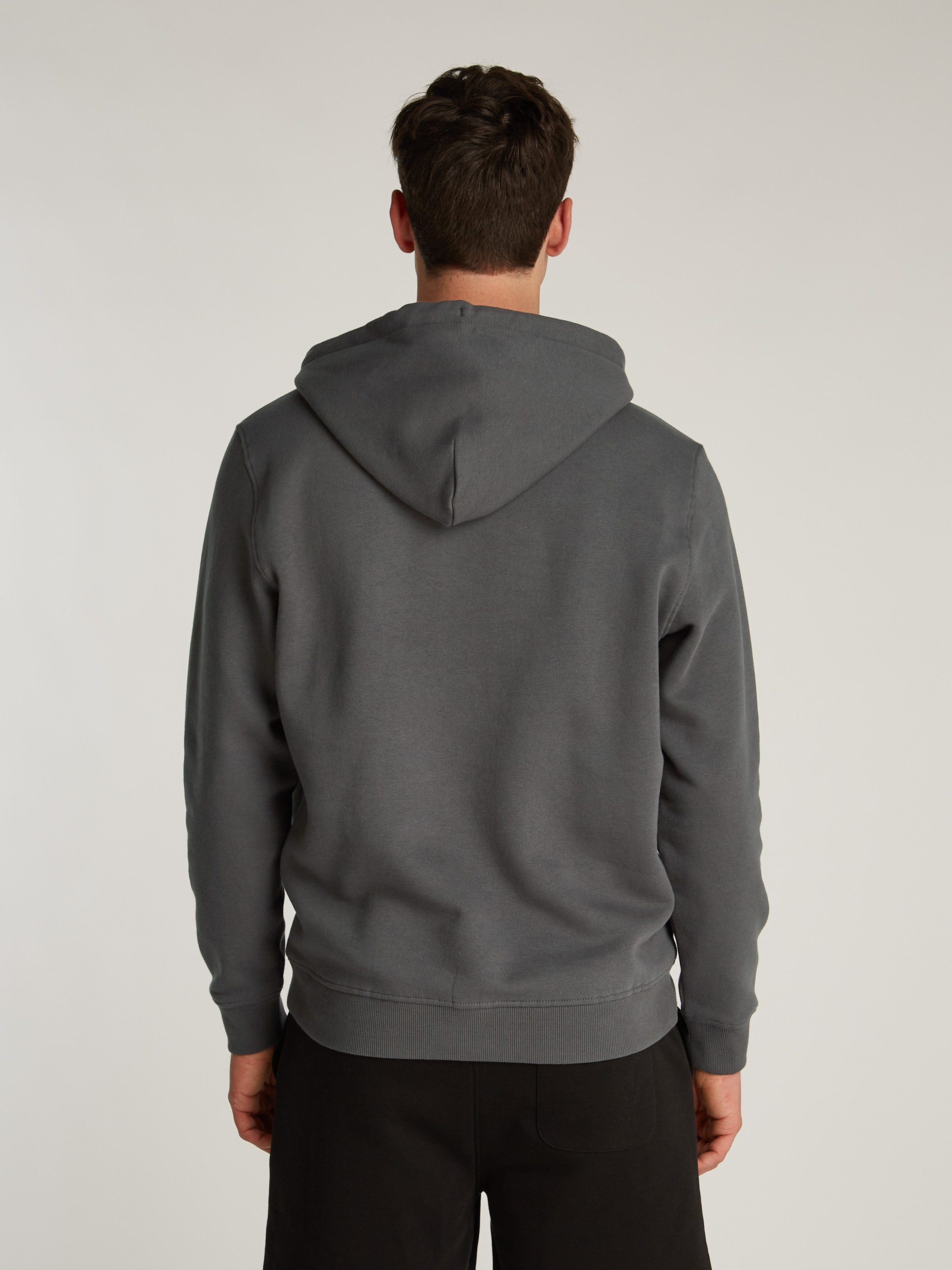 Tommy Jeans Hoodie TJM REG LINEAR günstig online kaufen