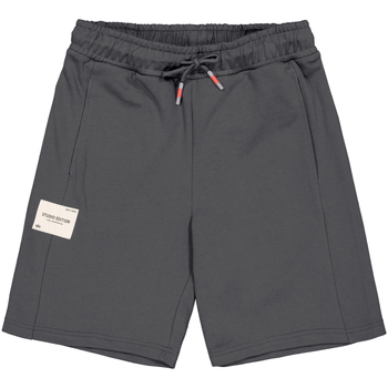 Alpha Industries  Shorts Studio Edition Shorts - vintage grey günstig online kaufen
