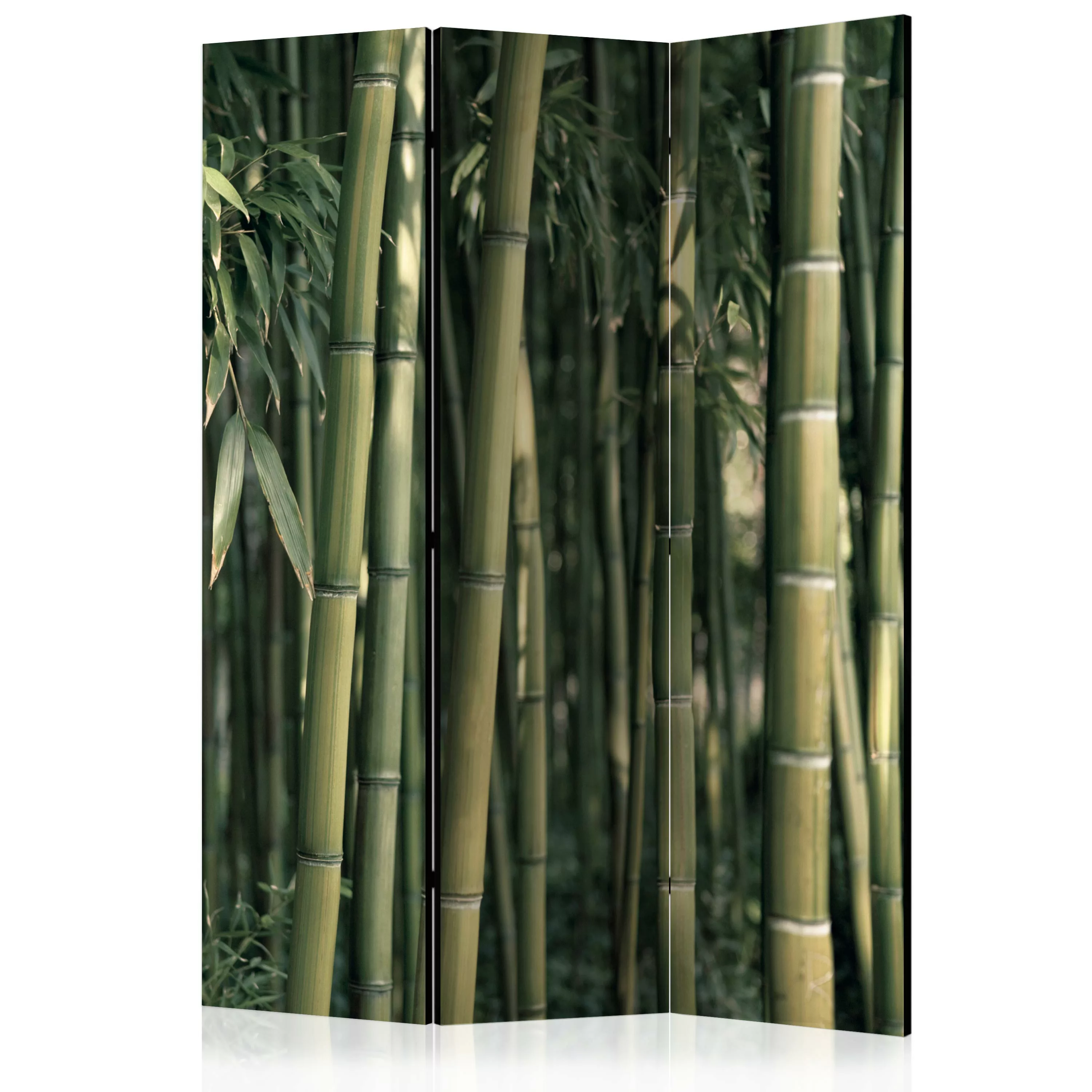 3-teiliges Paravent - Bamboo Exotic [room Dividers] günstig online kaufen