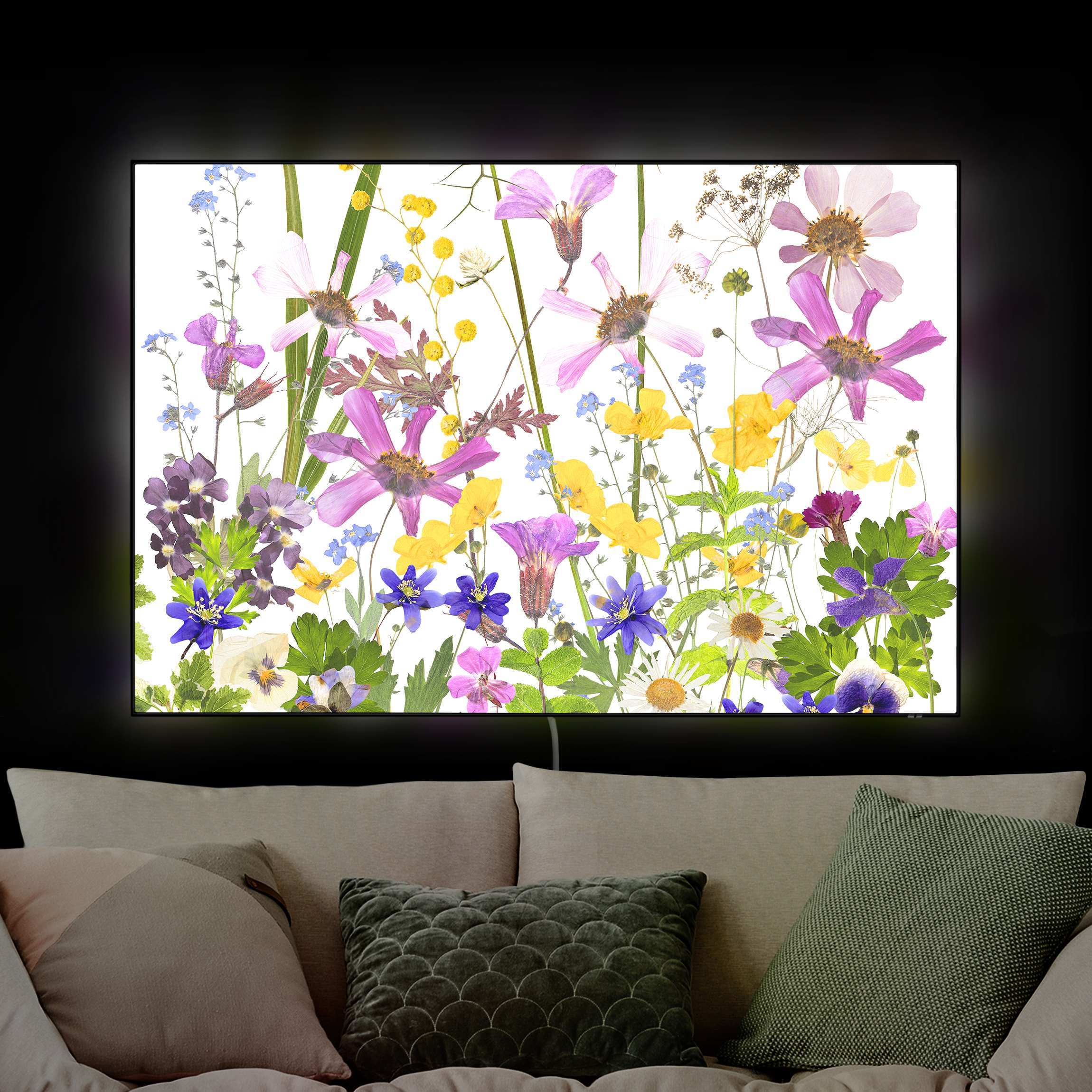 LED-Wechselbild Duftende Blumenwiese günstig online kaufen