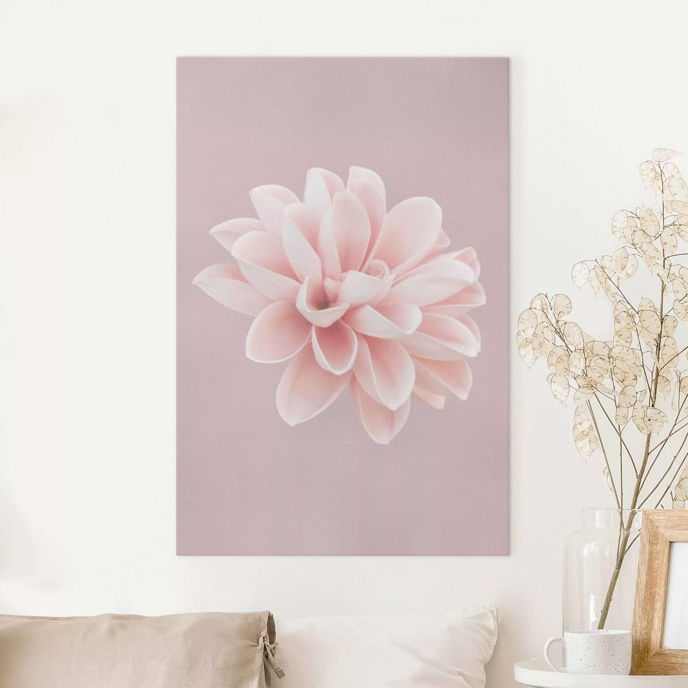 Leinwandbild Dahlie Blume Lavendel Rosa Weiß günstig online kaufen