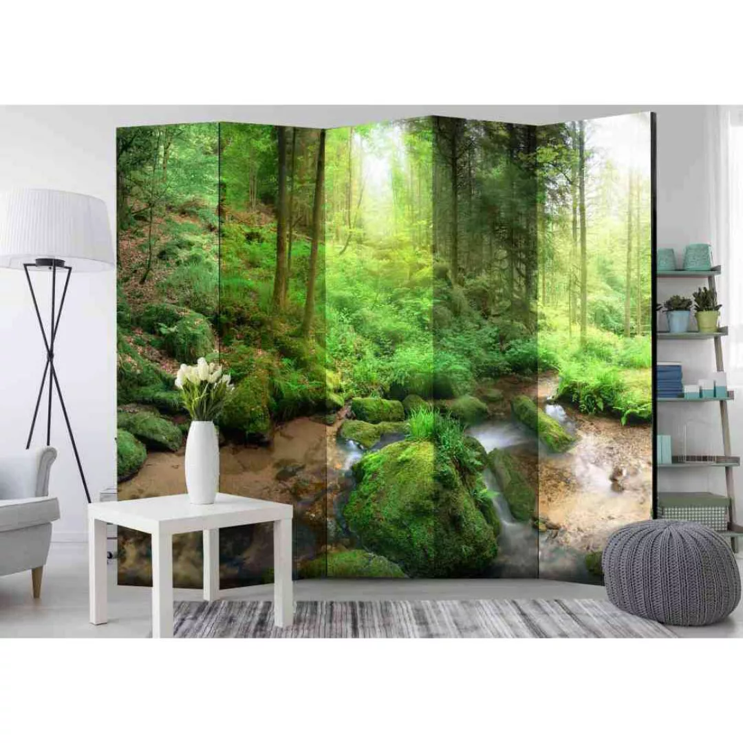 Leinwand Raumteiler mit Wald Motiv 225 cm breit günstig online kaufen