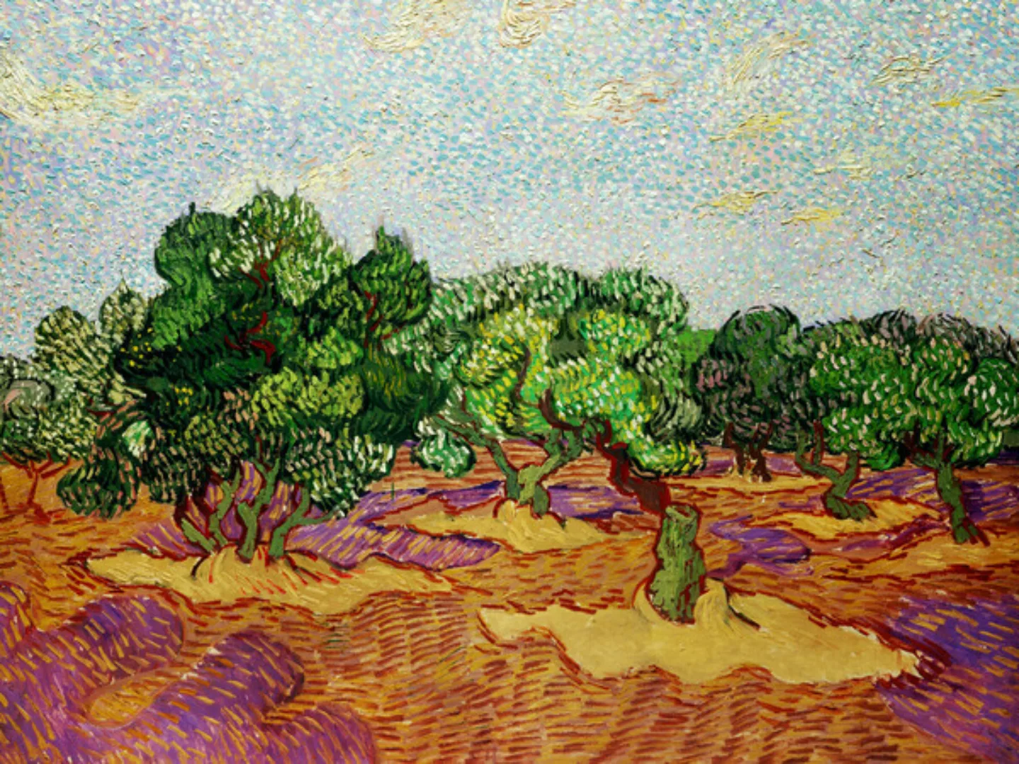 Poster / Leinwandbild - Vincent Van Gogh: Olivenbäume günstig online kaufen