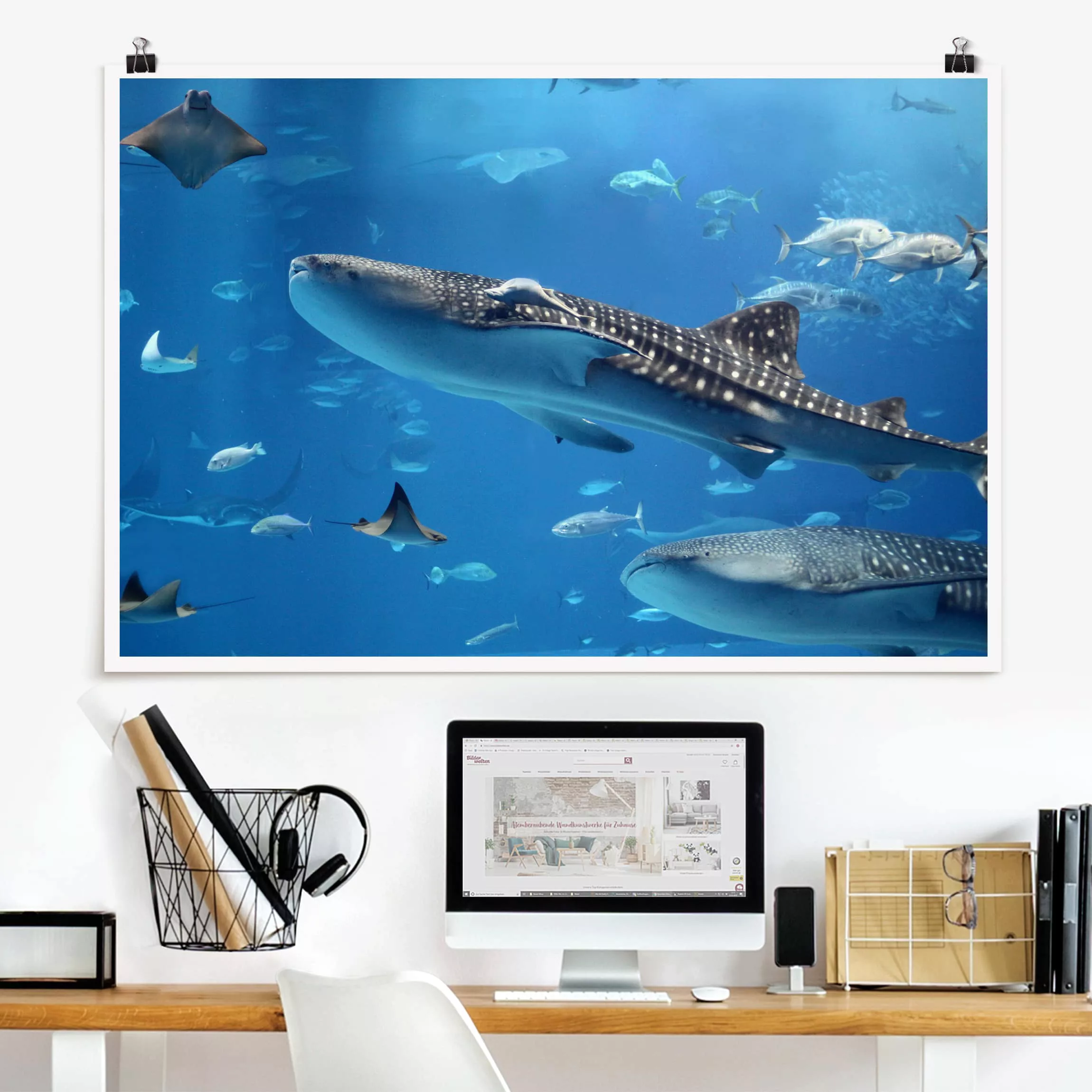 Poster Tiere - Querformat Fish in the Sea günstig online kaufen