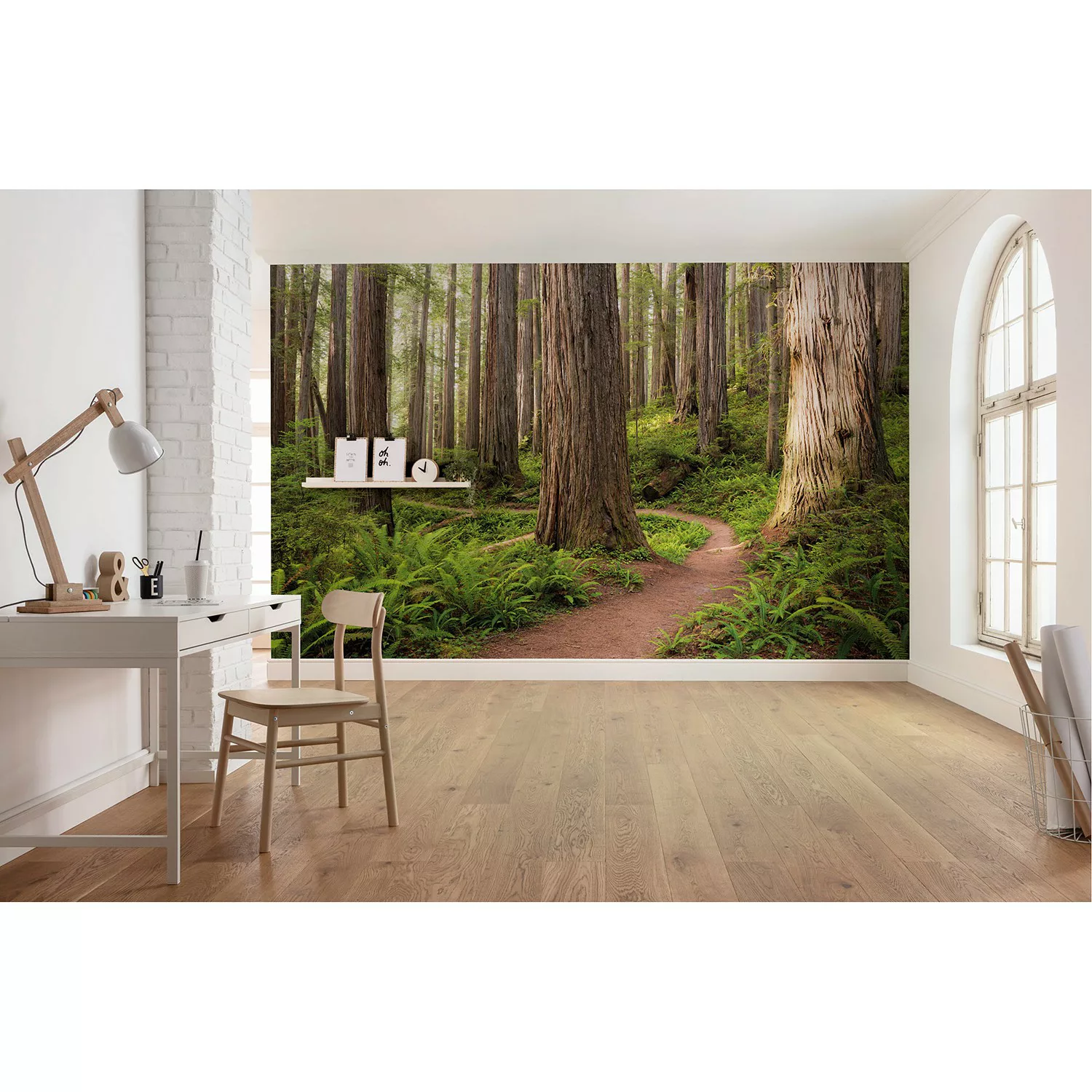 KOMAR Vlies Fototapete - Redwood Trail - Größe 450 x 280 cm mehrfarbig günstig online kaufen