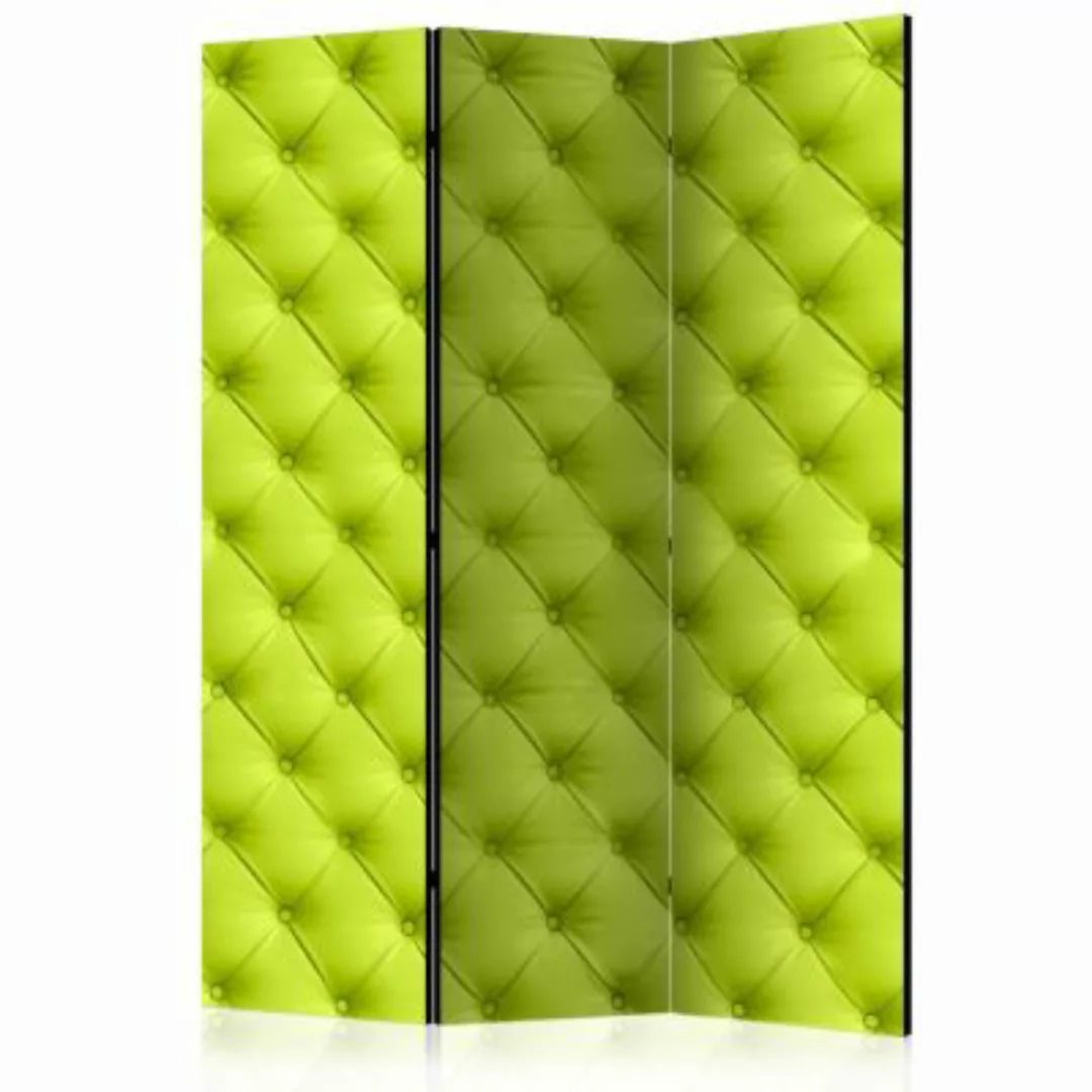 artgeist Paravent Lime detente [Room Dividers] grau/grün Gr. 135 x 172 günstig online kaufen