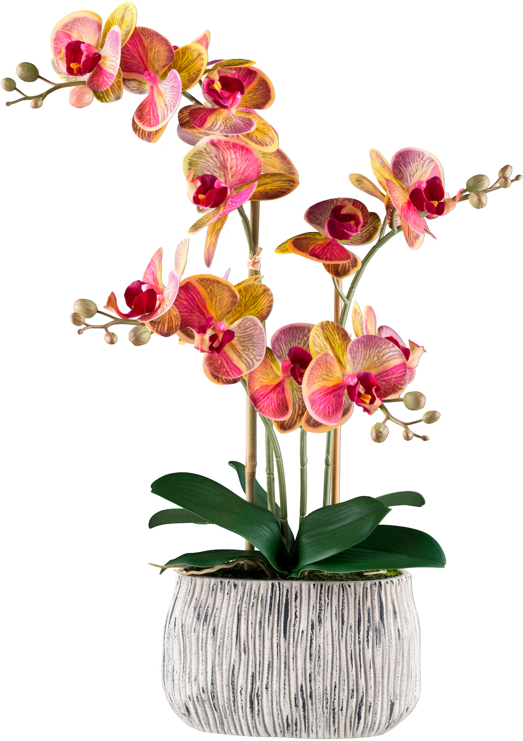 Creativ green Kunstorchidee "Orchidee Phalaenopsis", mit außergewöhnlicher günstig online kaufen