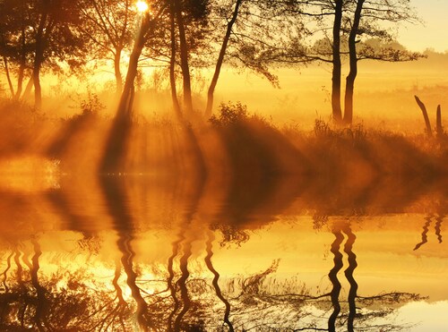 Papermoon Fototapete »DÄMMERUNG-REFLEXION VON BÄUMEN UFER FLUSS SEE SONNE« günstig online kaufen