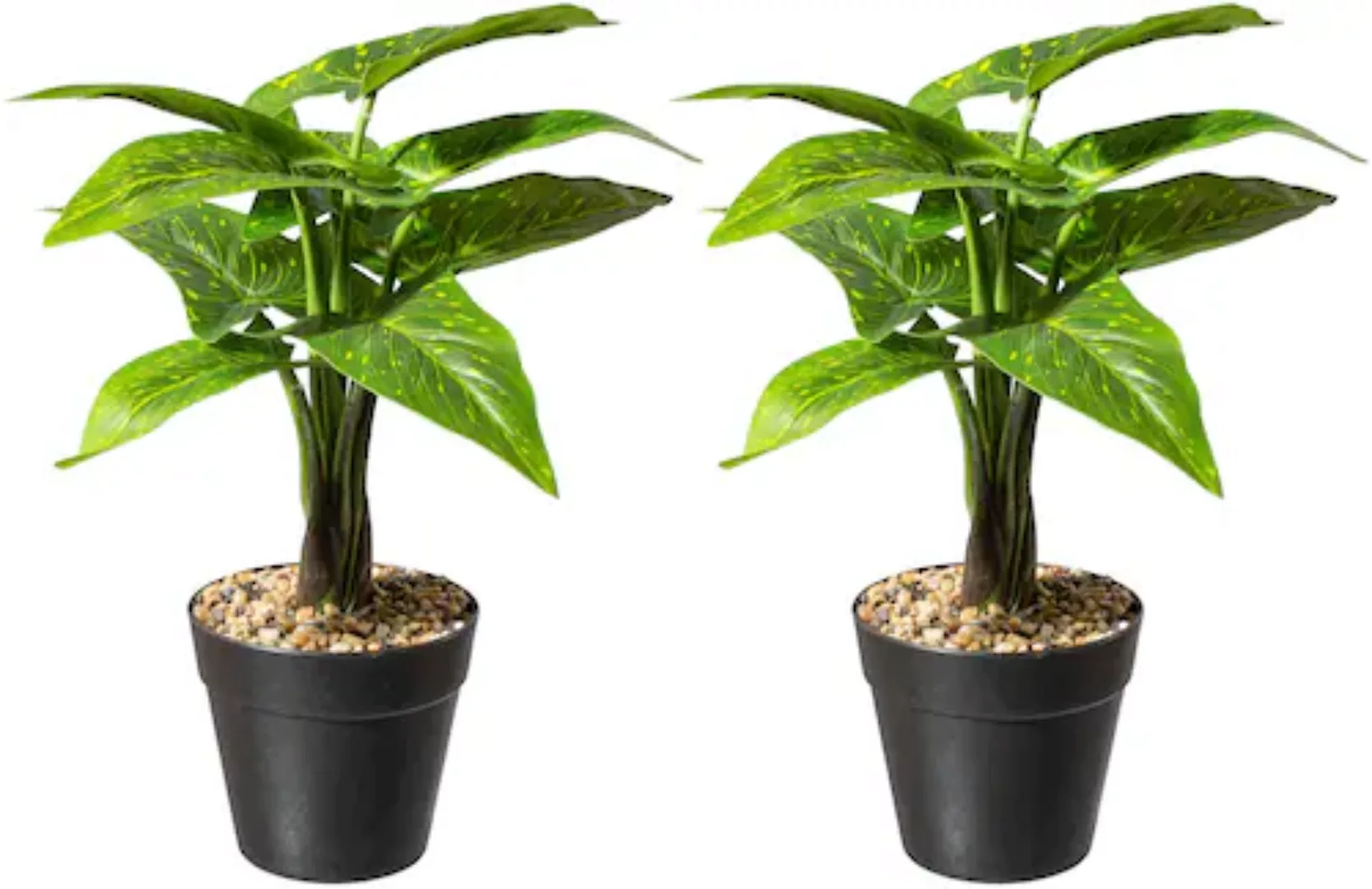 Creativ green Künstliche Zimmerpflanze »Alocasia zebrina« günstig online kaufen