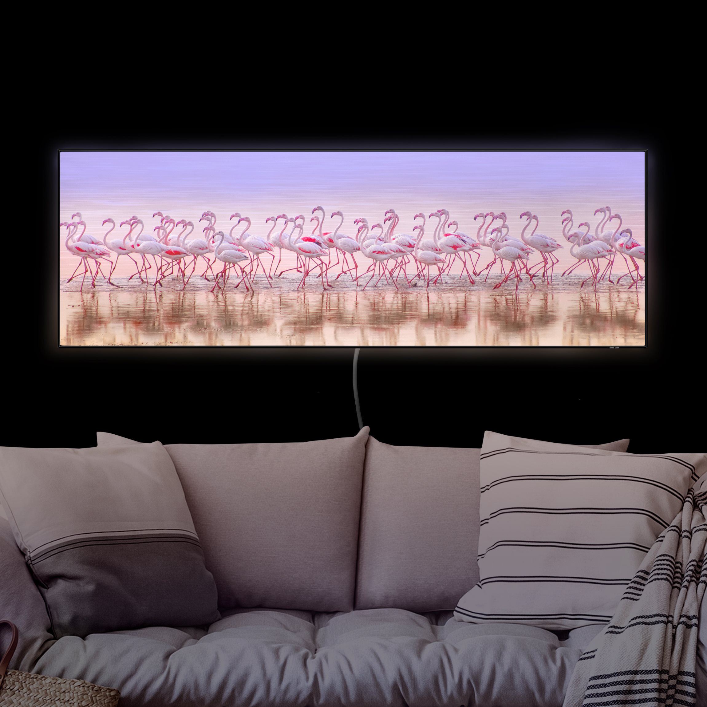 LED-Wechselbild Flamingo Party günstig online kaufen