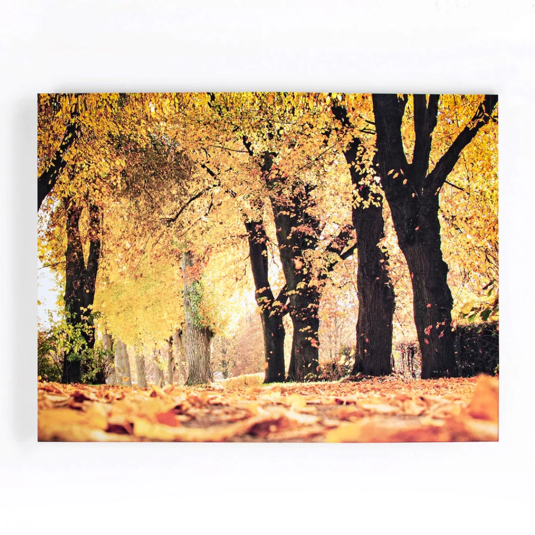 Art for the home Leinwandbild "Art for the Home Leinwandbild Herbst - 100x7 günstig online kaufen