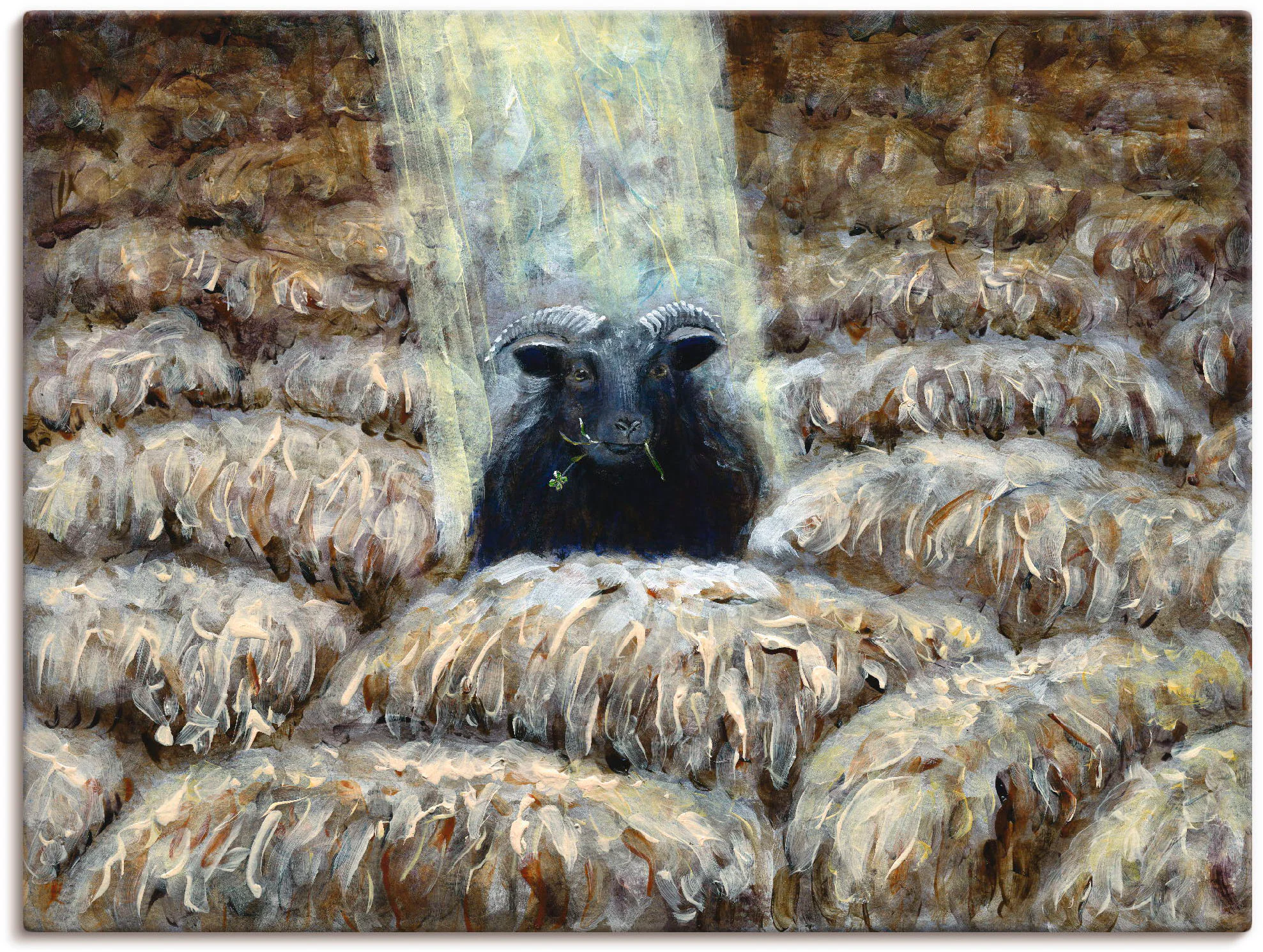 Artland Wandbild "Schwarzes Schaf", Haustiere, (1 St.), als Leinwandbild in günstig online kaufen