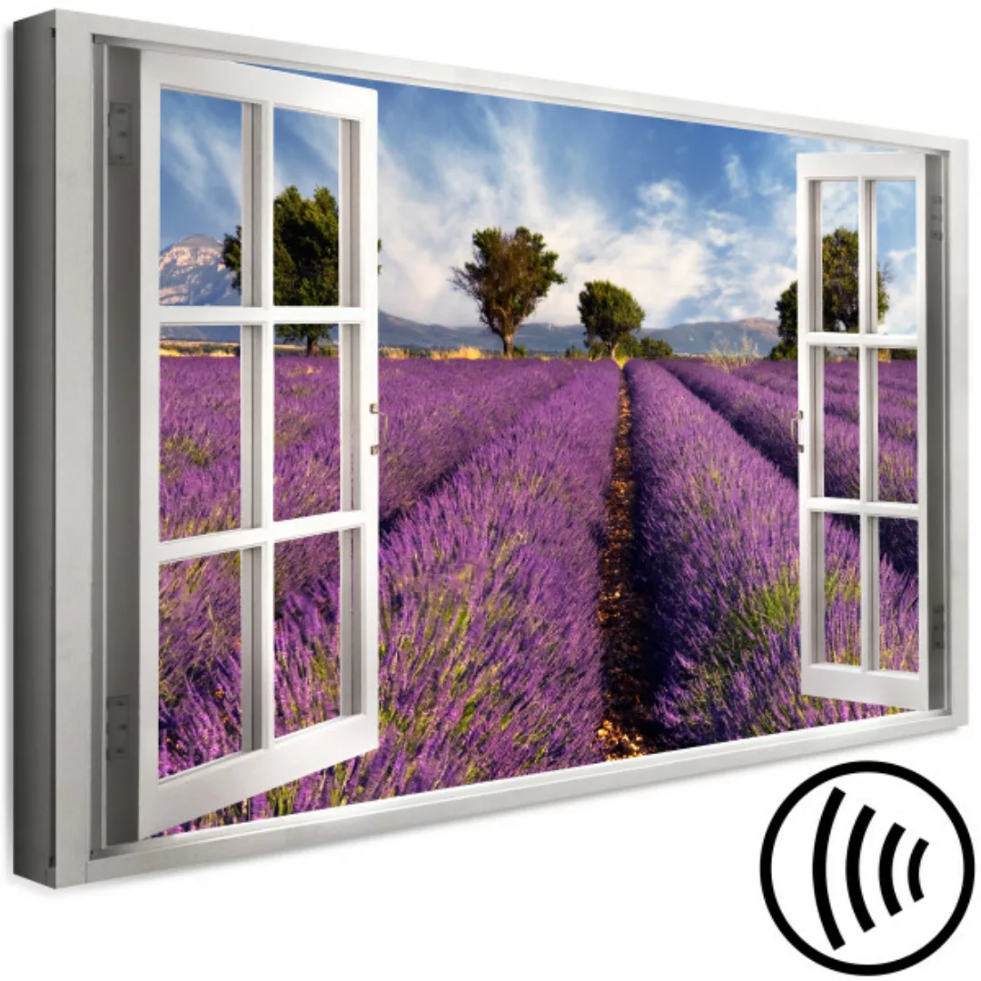Bild auf Leinwand Lavender Field (1 Part) Wide XXL günstig online kaufen
