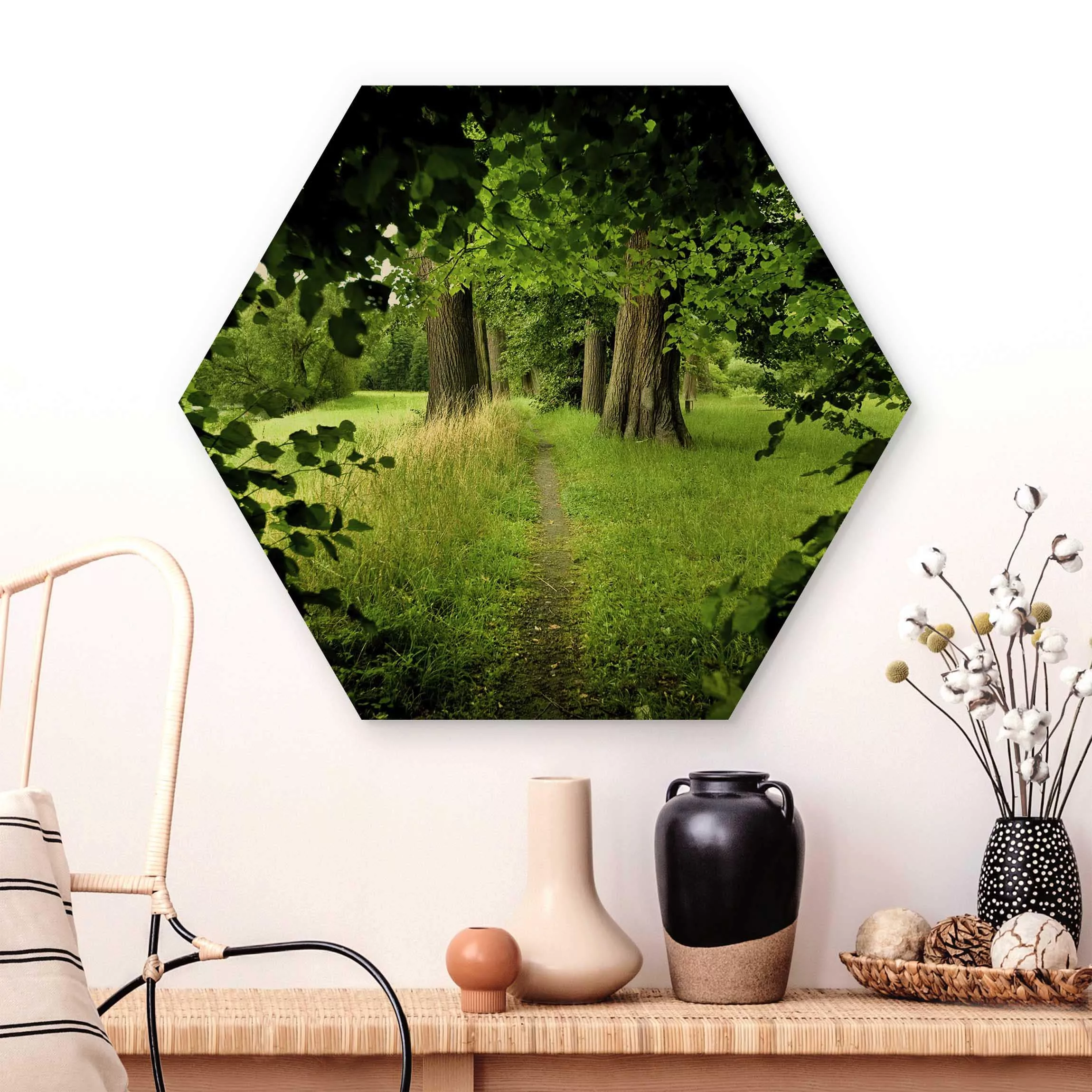 Hexagon-Holzbild Natur & Landschaft Verborgene Lichtung günstig online kaufen