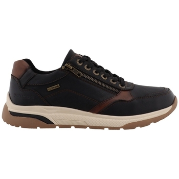 Westland  Sneaker 84R0051004 günstig online kaufen