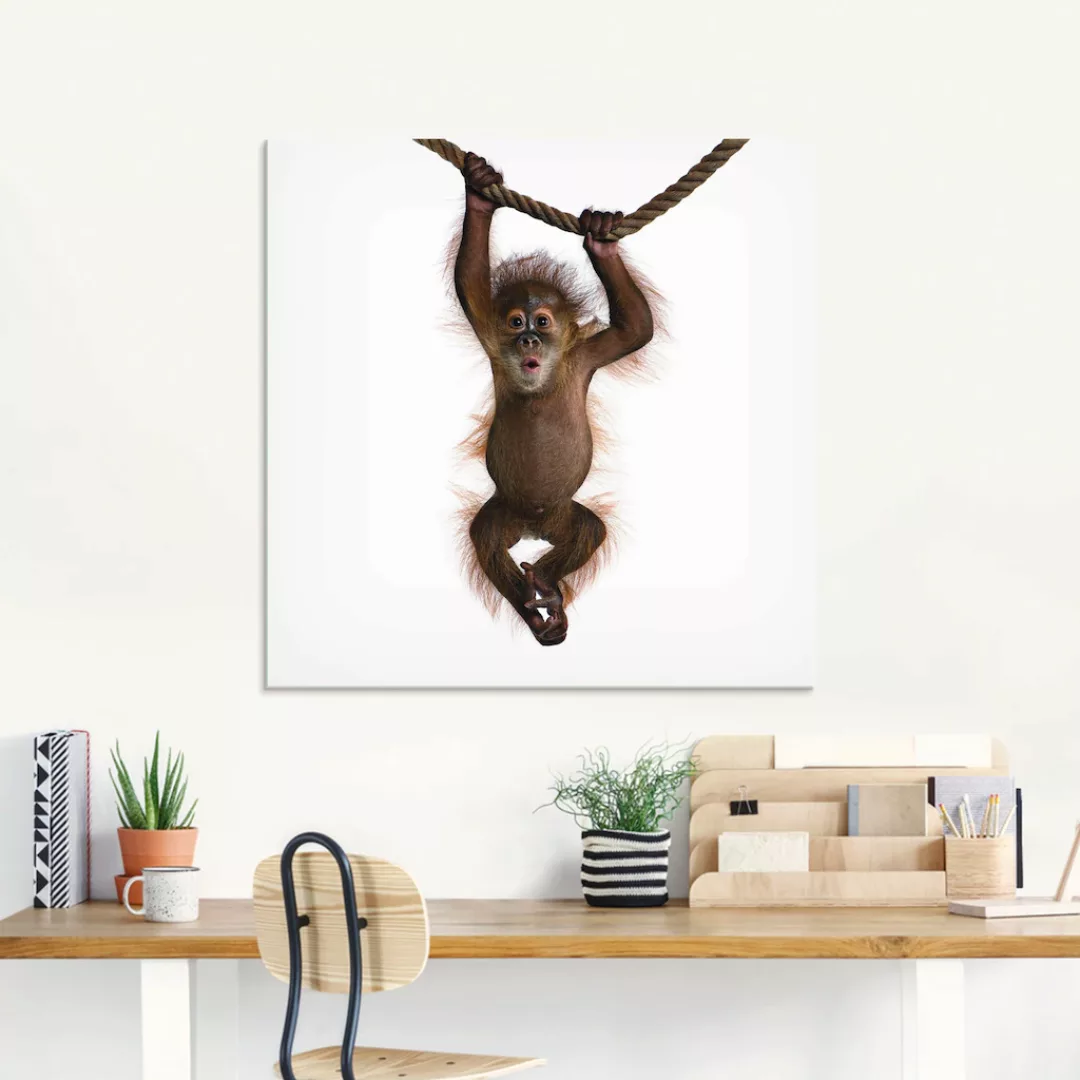 Artland Glasbild "Baby Orang Utan hängt an Seil II", Wildtiere, (1 St.), in günstig online kaufen