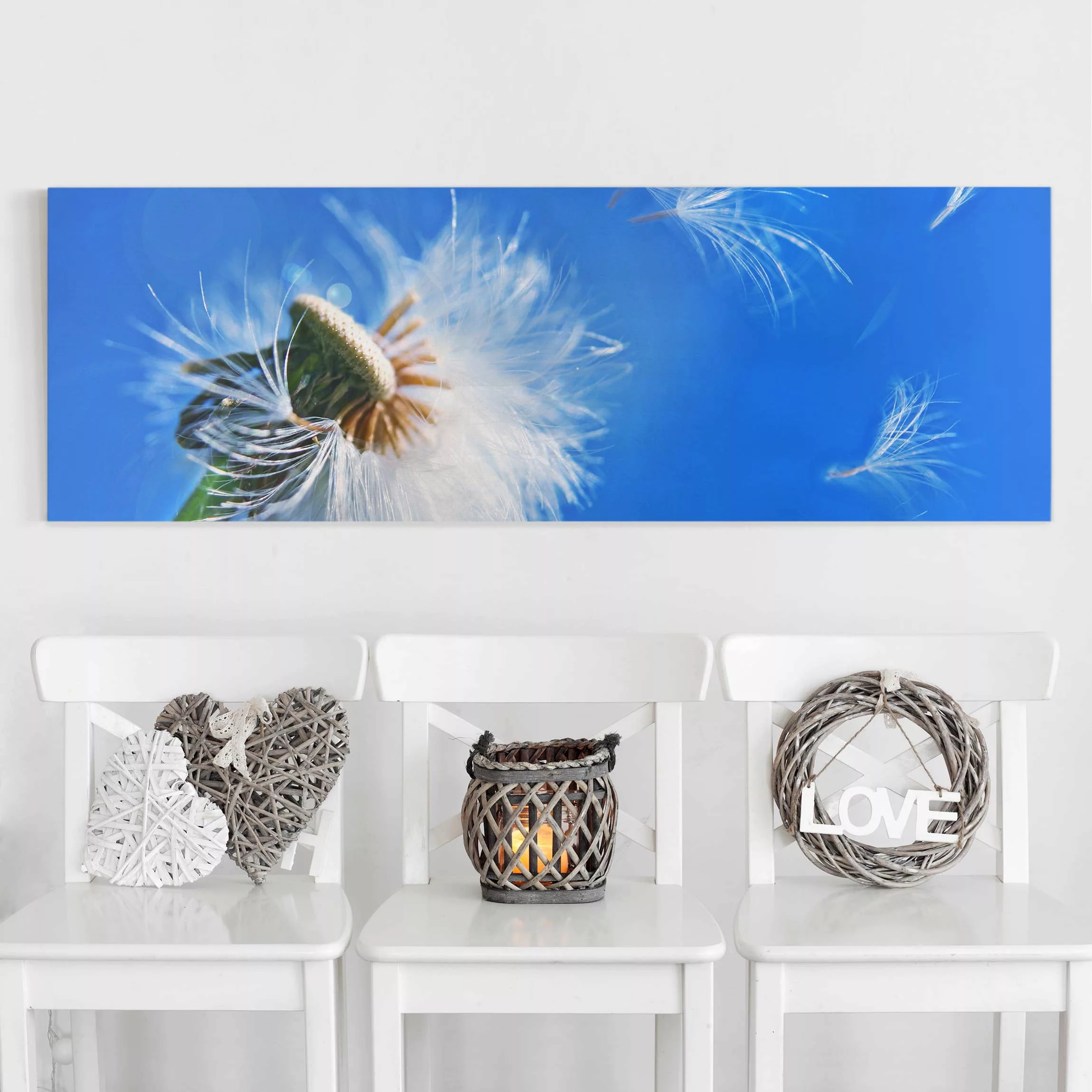 Leinwandbild Blumen - Panorama Blown away günstig online kaufen