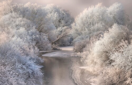 Papermoon Fototapete »Photo-Art SEBESTYEN BELA, WINTERLIED« günstig online kaufen