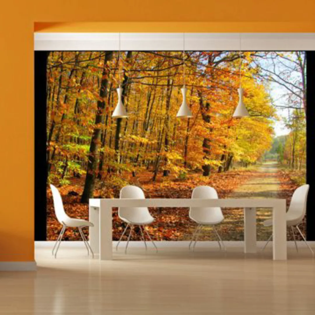 artgeist Fototapete Beech forest mehrfarbig Gr. 350 x 270 günstig online kaufen