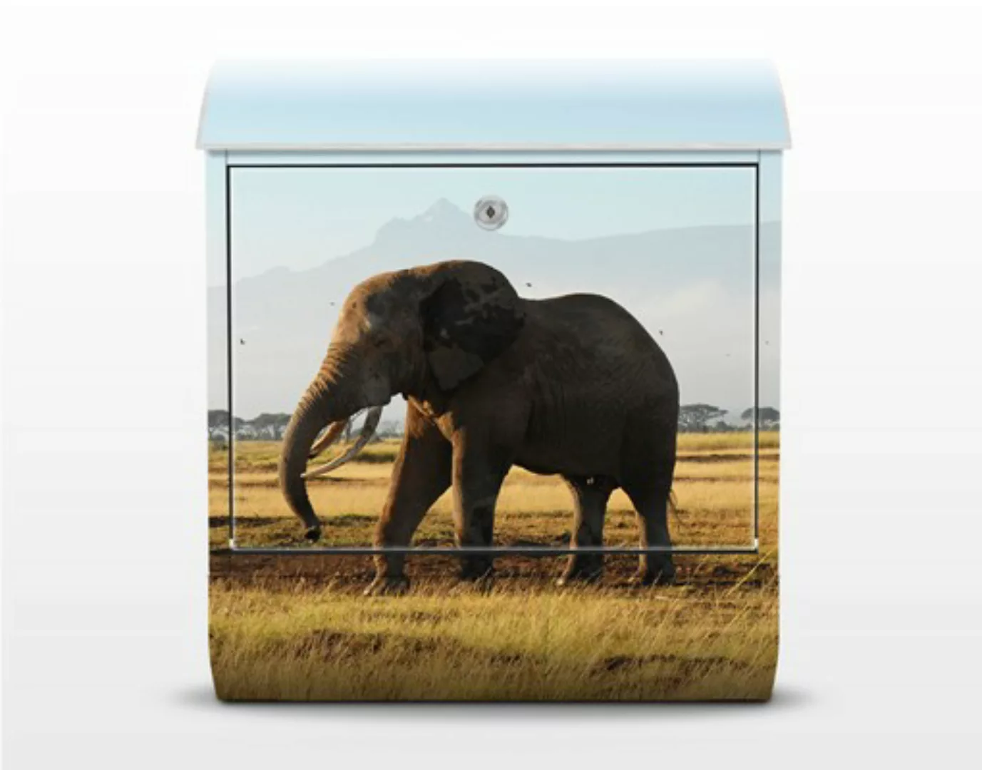 Briefkasten Natur & Landschaft Elefanten vor dem Kilimanjaro in Kenya günstig online kaufen