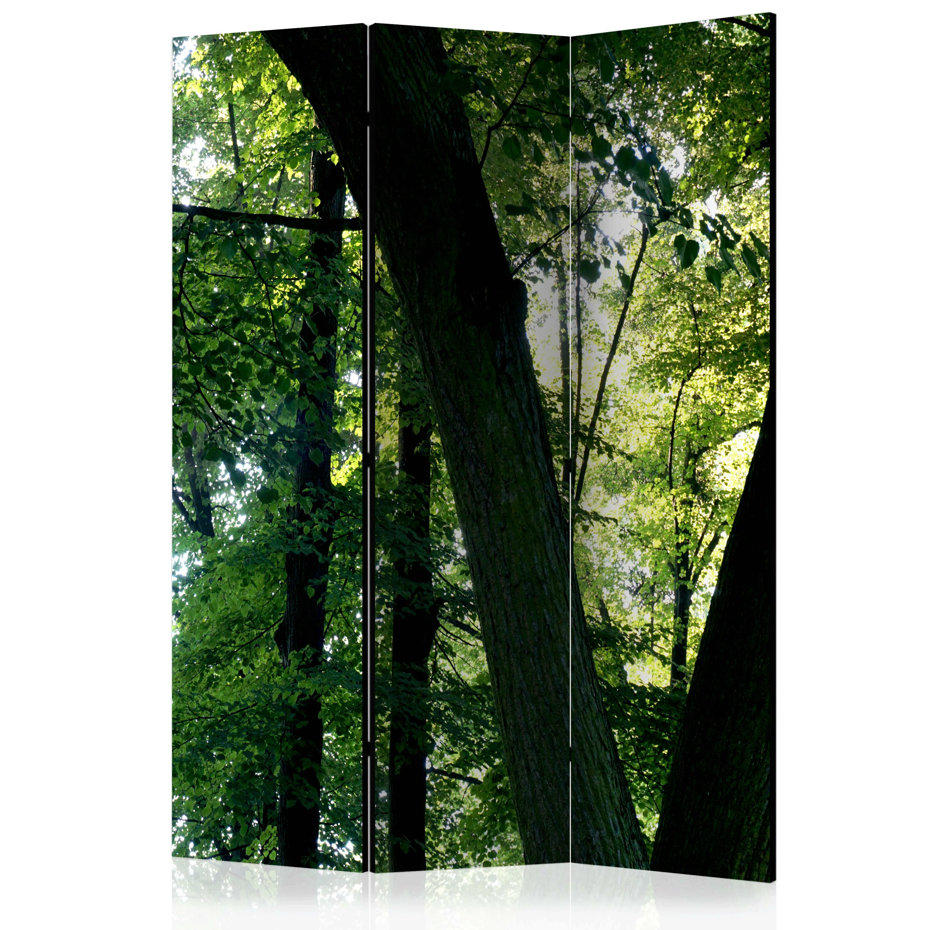 3-teiliges Paravent - Spring In The Park [room Dividers] günstig online kaufen