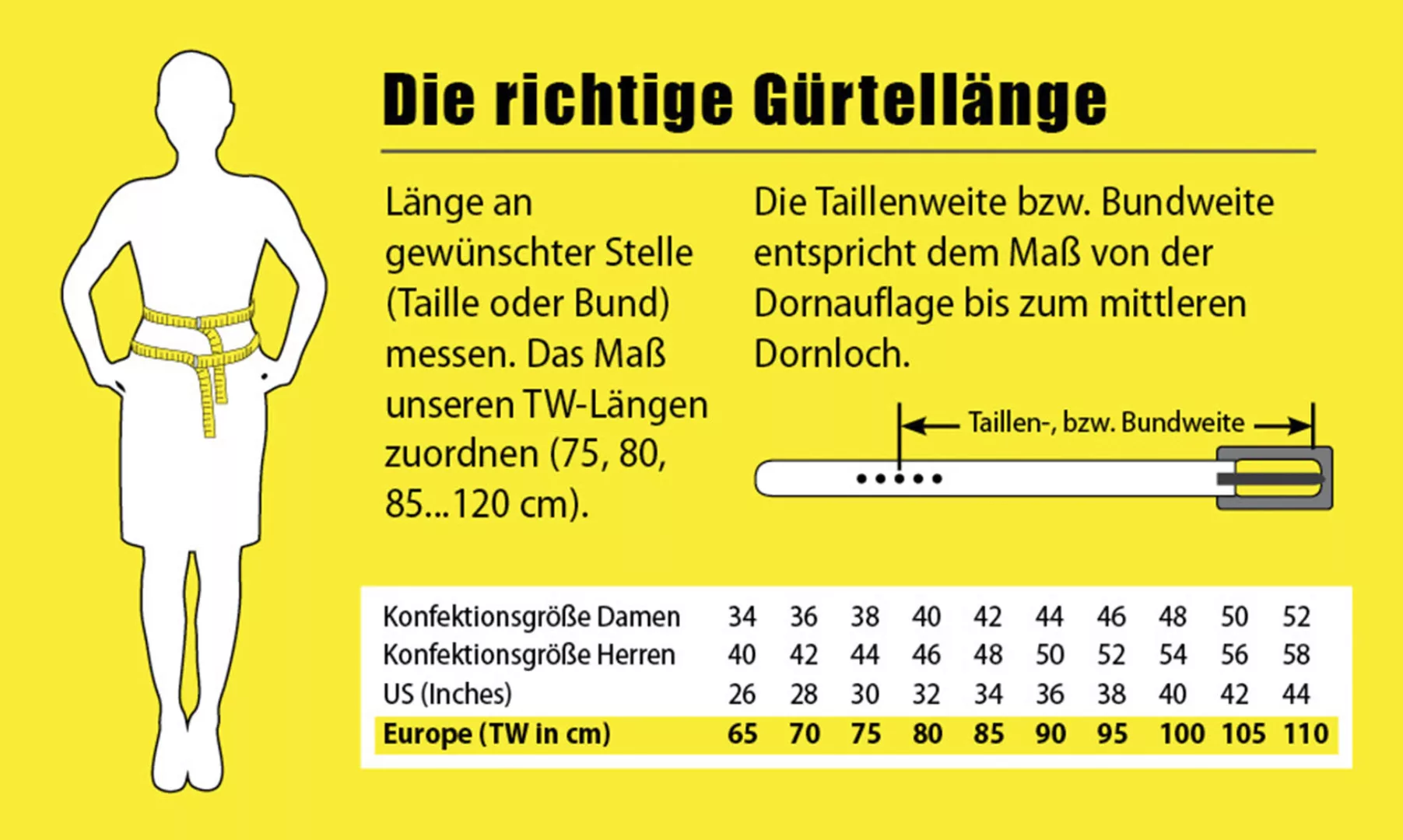 BERND GÖTZ Ledergürtel, mit edler Narbung und dekorativen Schattenkanten günstig online kaufen