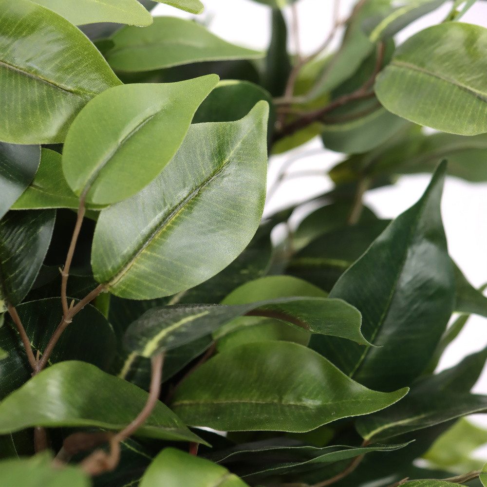 Kunstpflanze Kunstpflanze FICUS II Kunststoff Birke, günstig online kaufen
