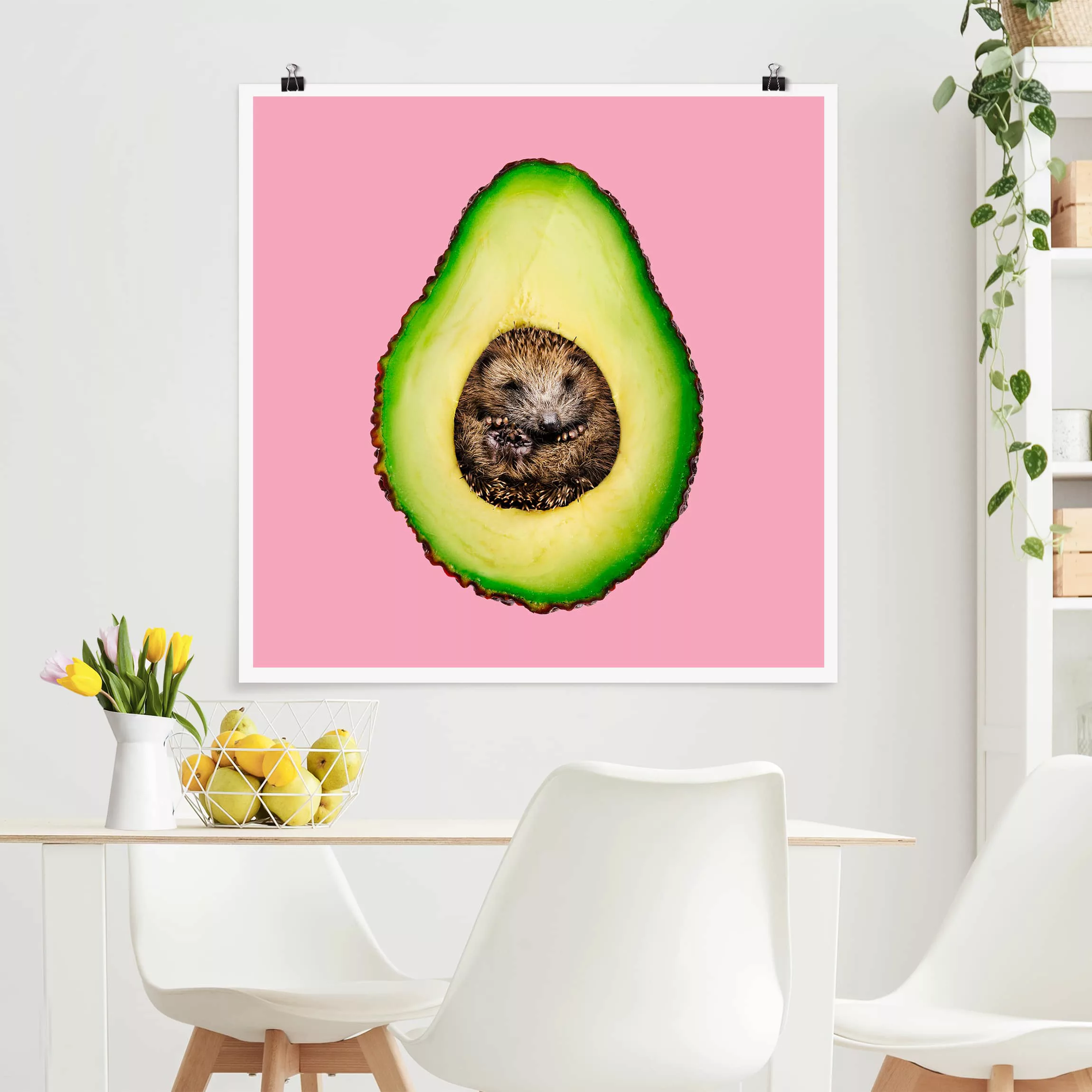 Poster Tiere - Quadrat Avocado mit Igel günstig online kaufen