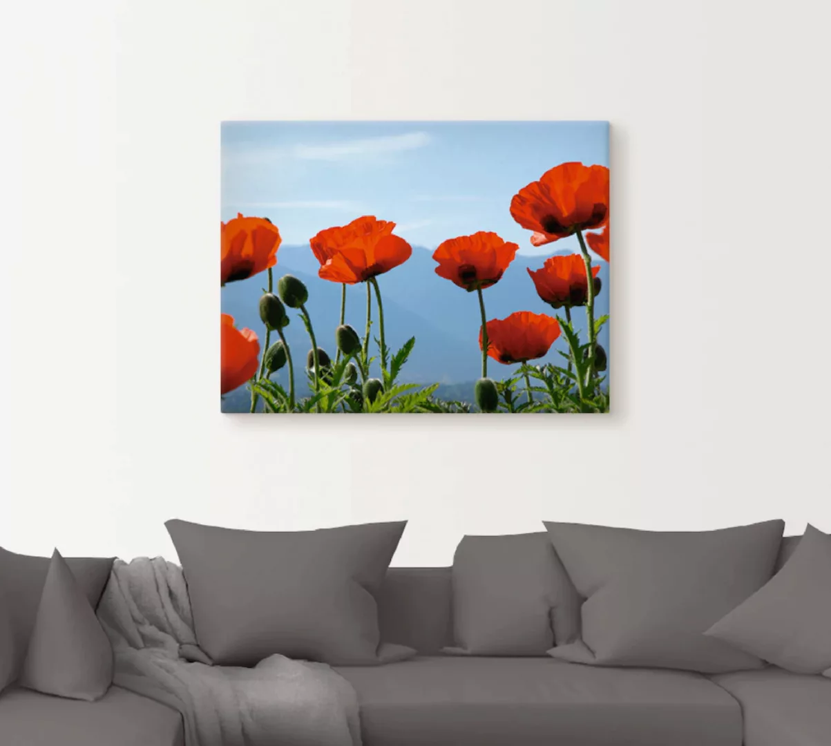 Artland Wandbild »Mohnblüten«, Blumen, (1 St.), als Leinwandbild, Poster in günstig online kaufen