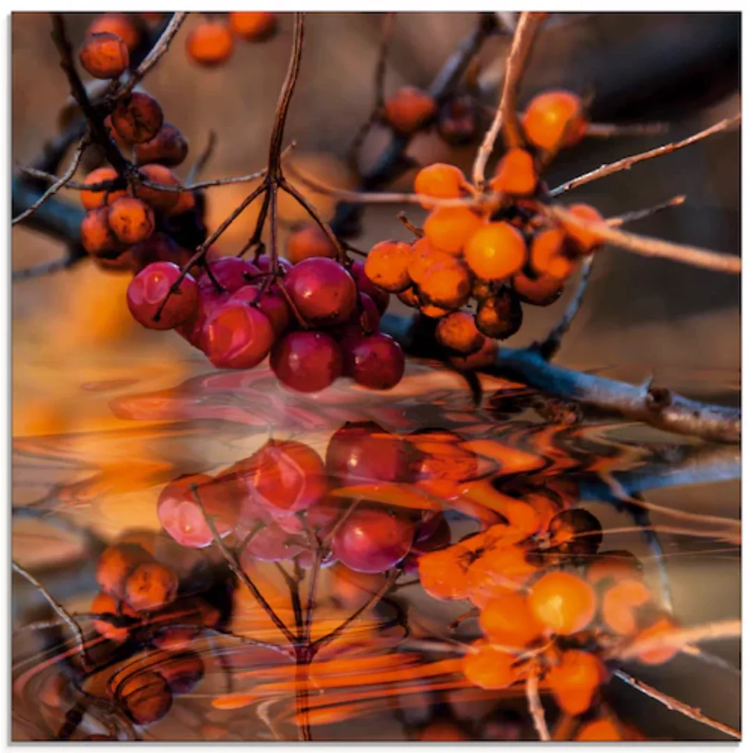 Artland Glasbild "Rote Beeren - Wildbeeren", Pflanzen, (1 St.) günstig online kaufen