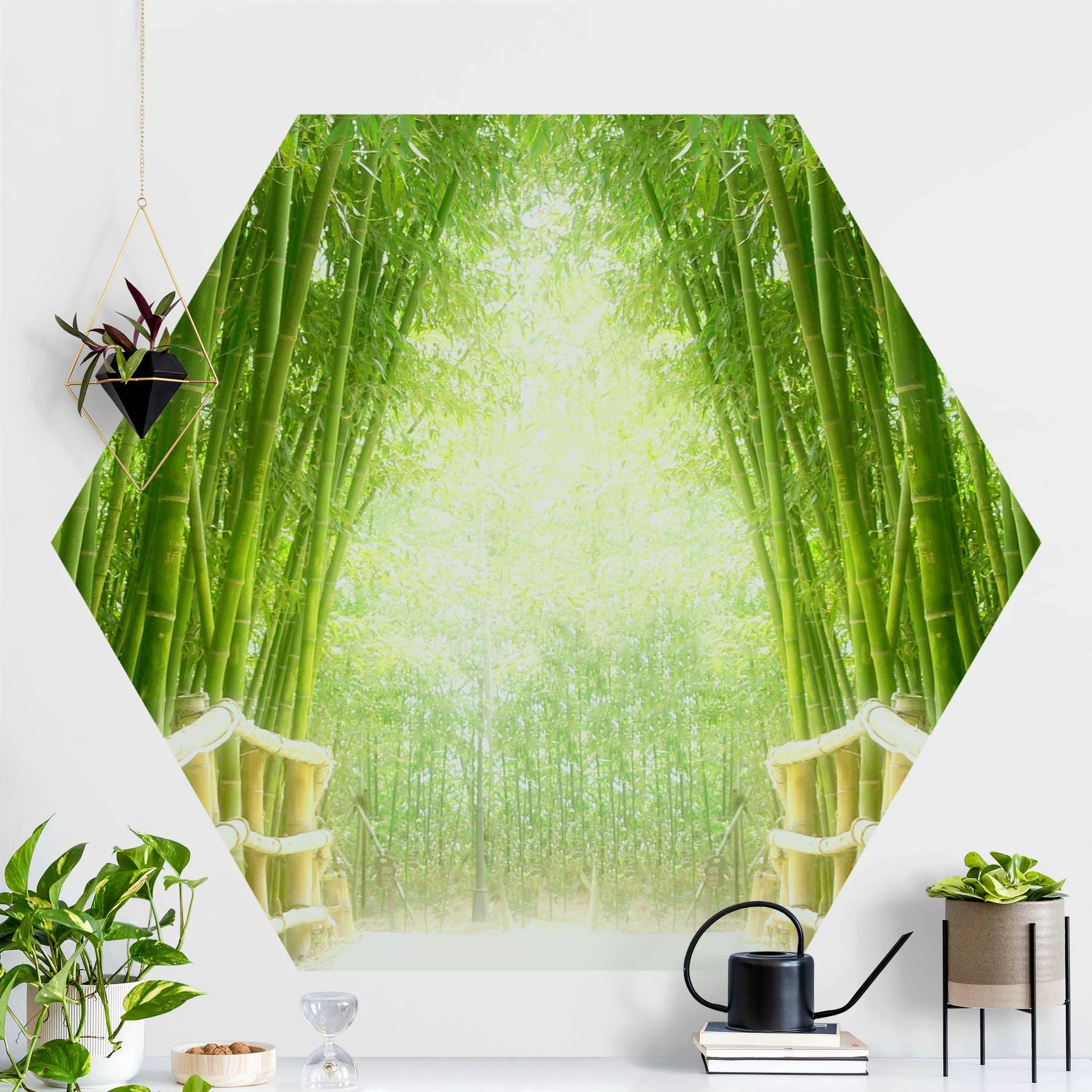 Hexagon Fototapete selbstklebend Bamboo Way günstig online kaufen