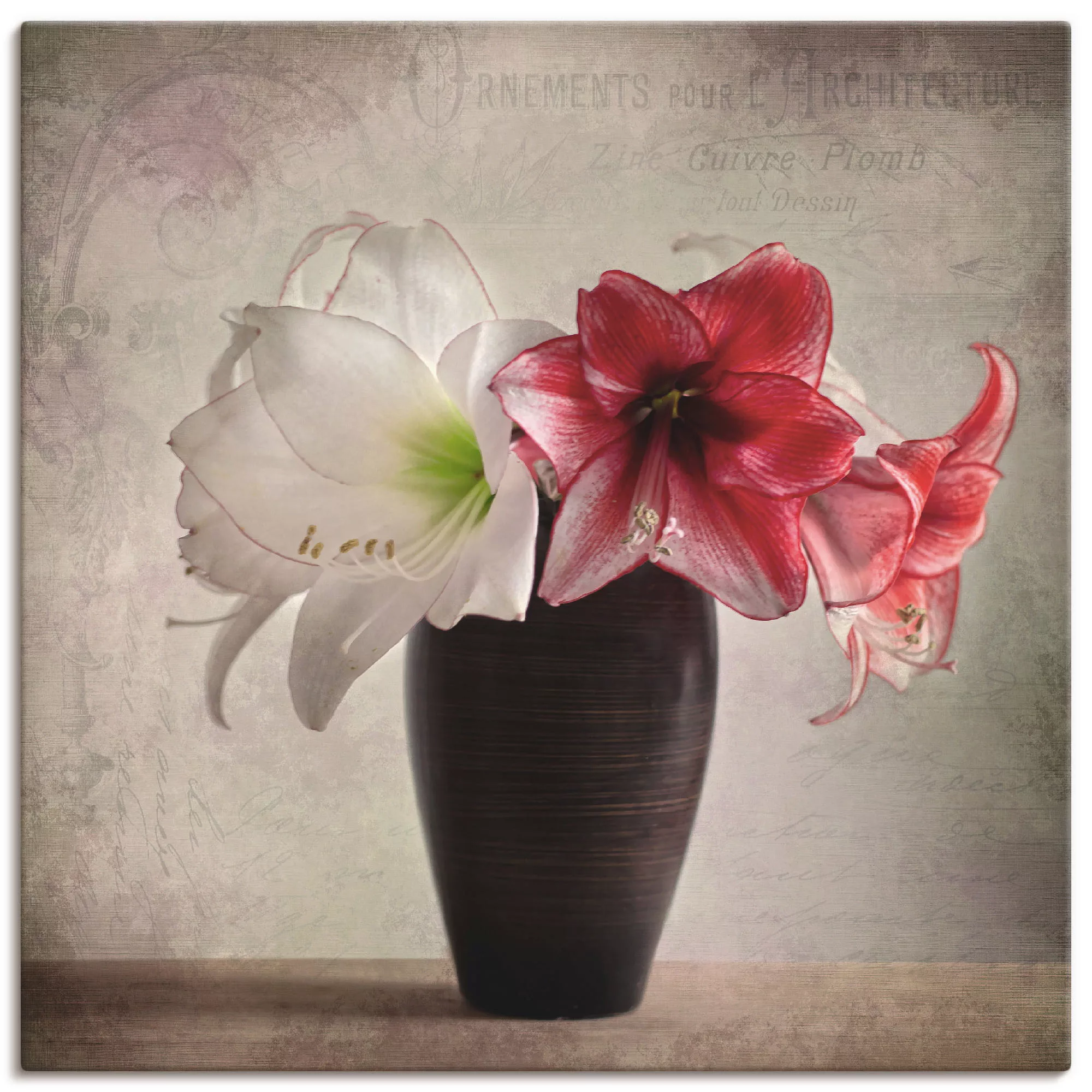 Artland Wandbild »Amaryllis Vintage I«, Blumen, (1 St.), als Alubild, Outdo günstig online kaufen